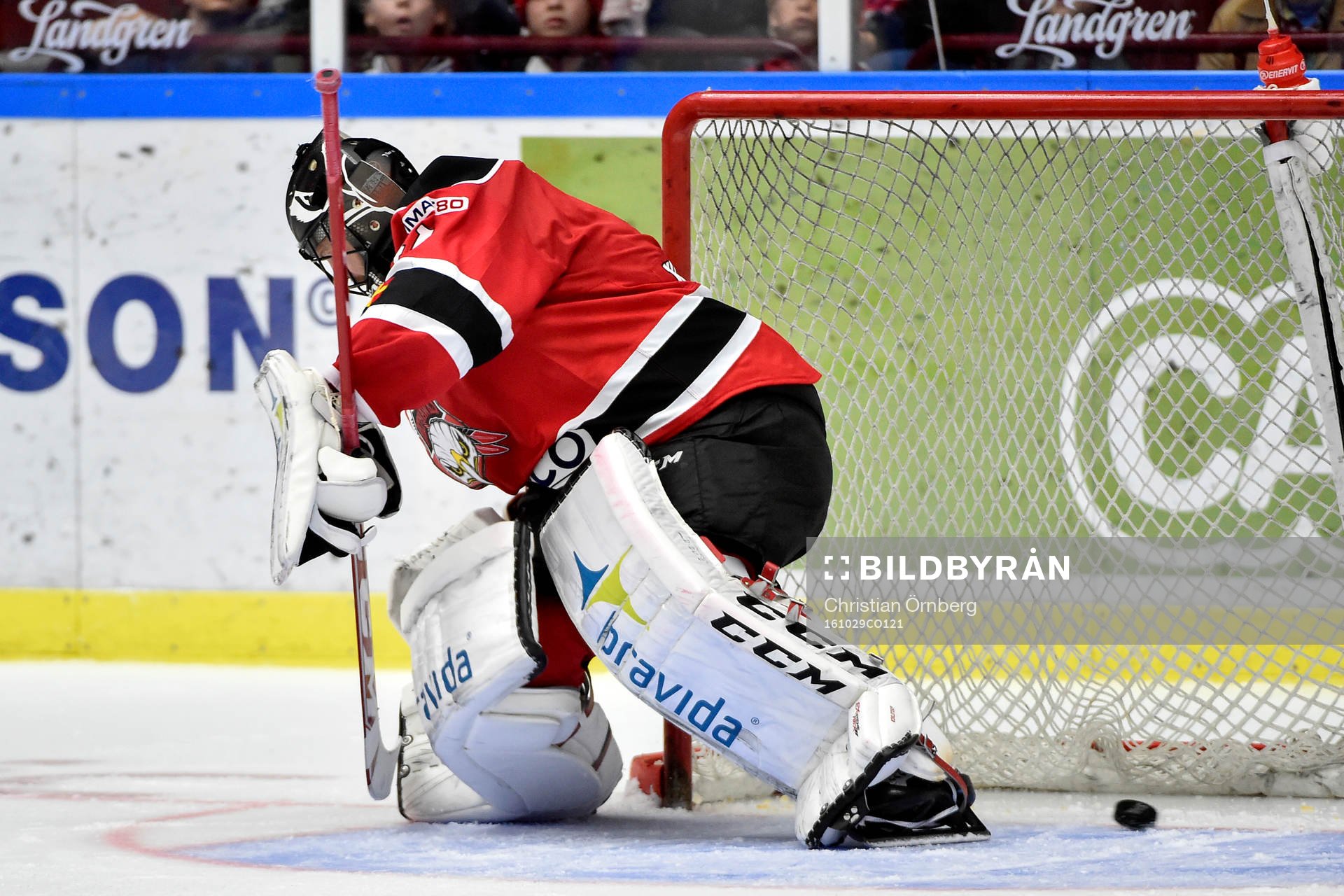 Malmö Redhawks målvakt Cristopher Nihlstorp släpper in