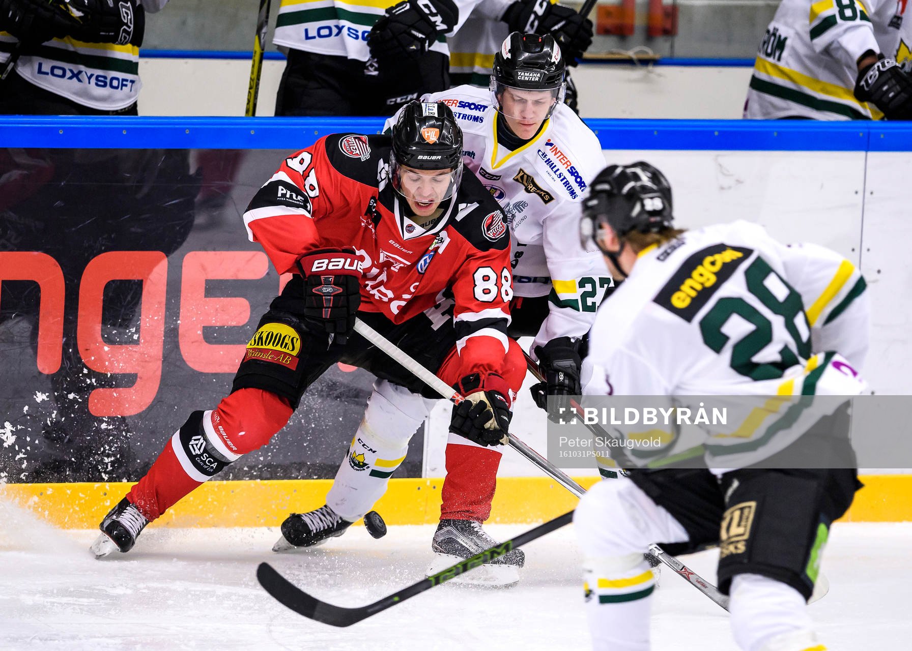 Piteås Erik Wikgren