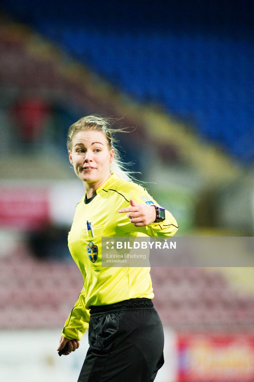 Domare Camilla Friberg