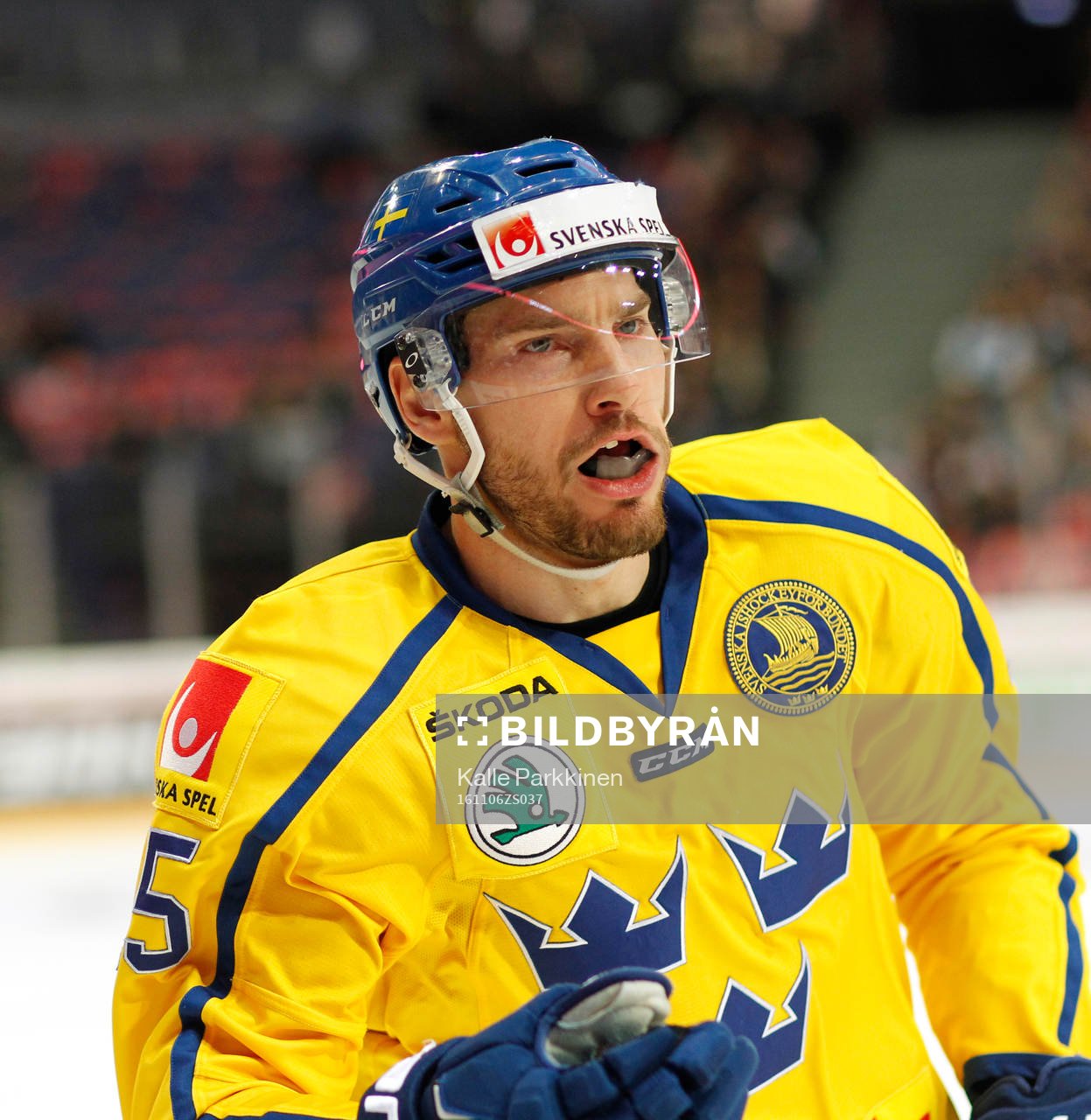 Sweden¥s Mattias Sjögren