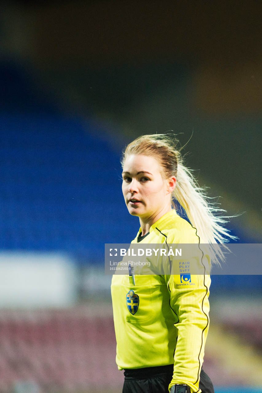 Domare Camilla Friberg