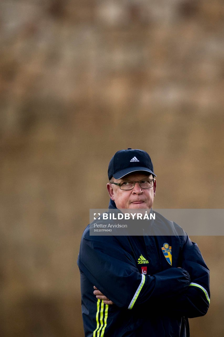 Förbundskapten Janne Andersson