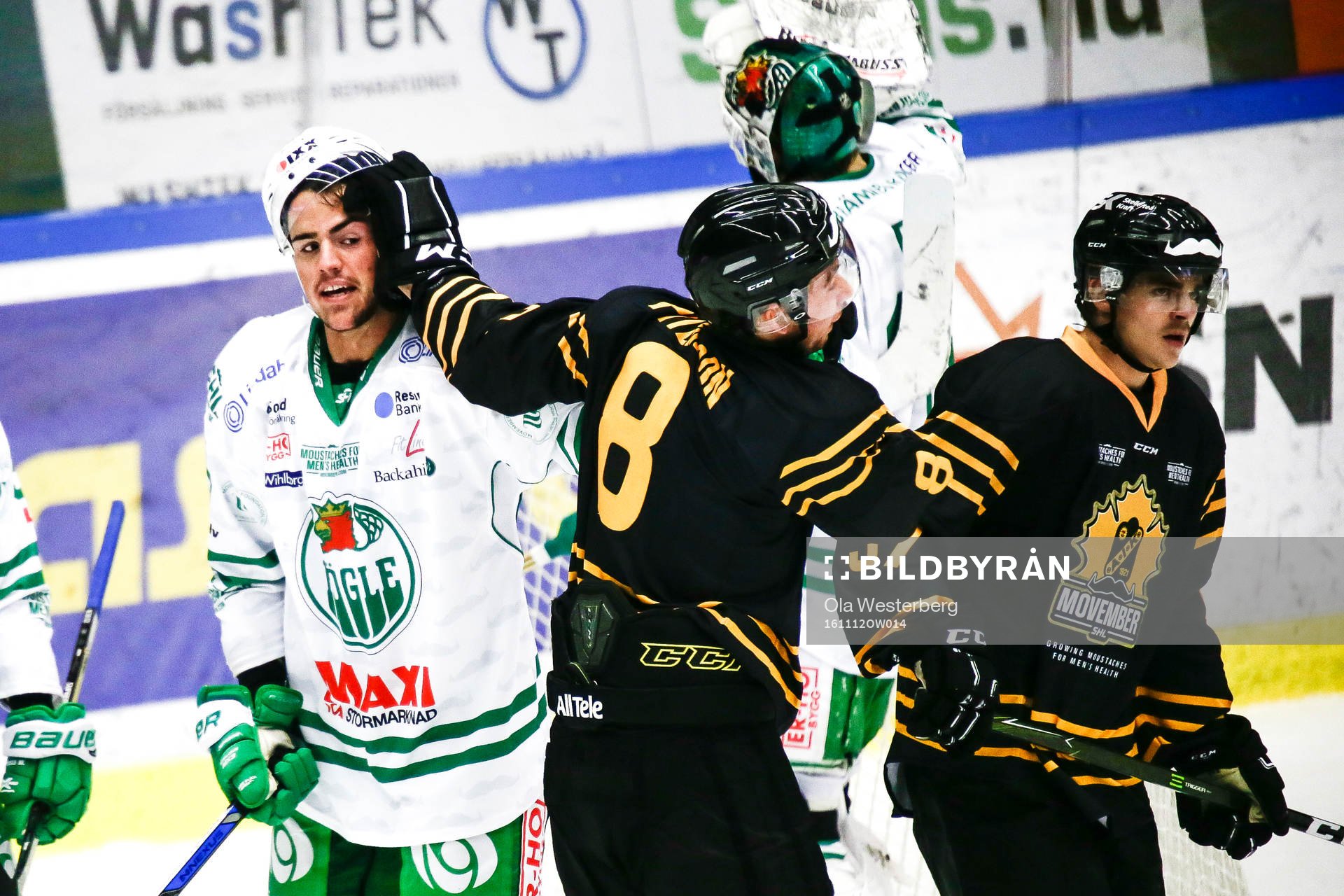 Skellefteås Marcus Pettersson