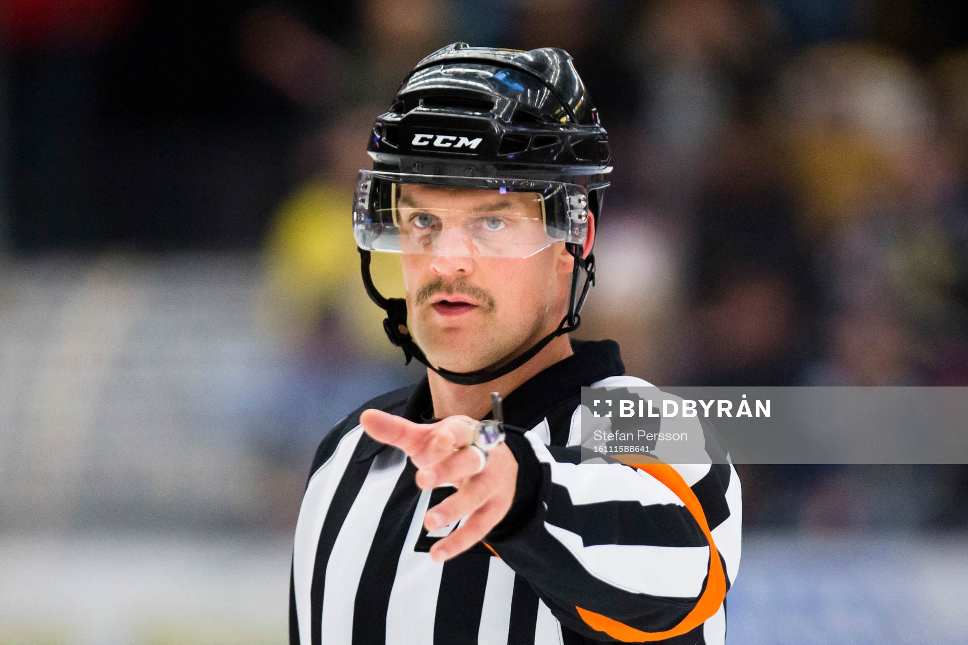 Domaren Mikael Nord