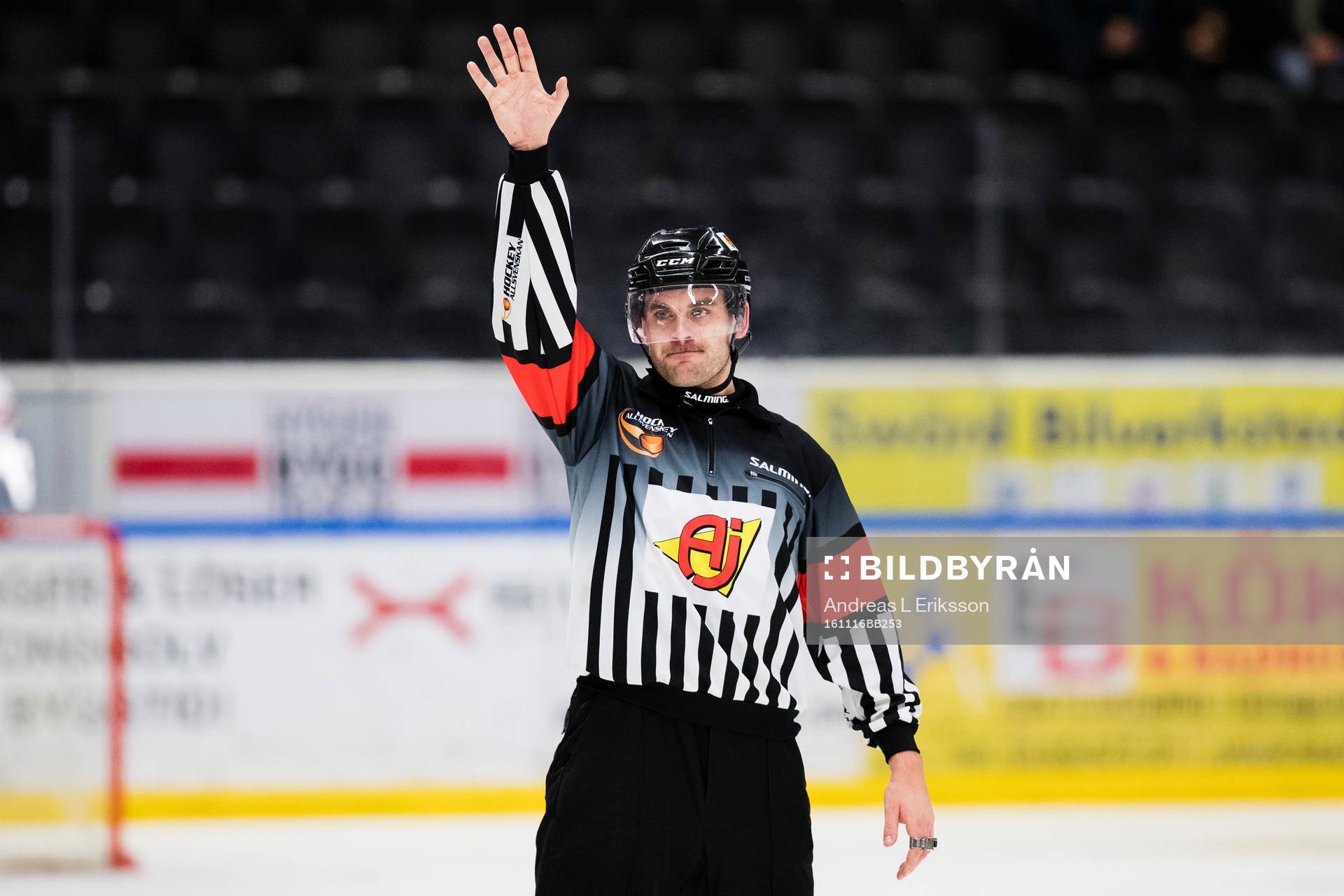 Domare Richard Magnusson