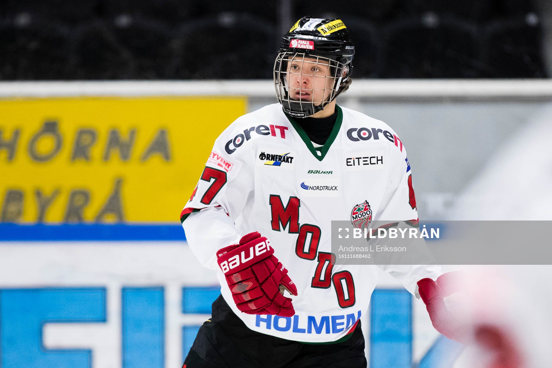 Modos Victor Berglund