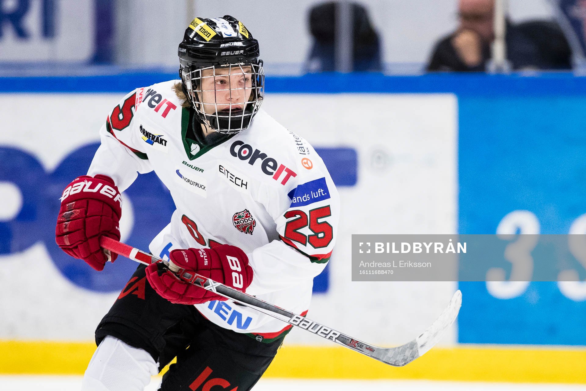 Modos Lukas Wernblom