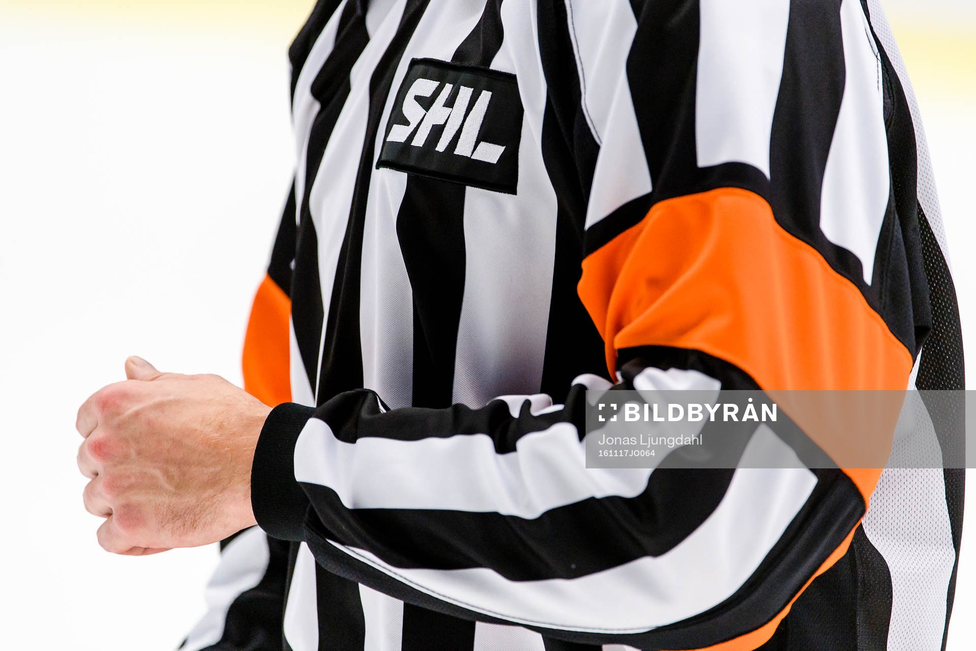 Domare och SHL logo