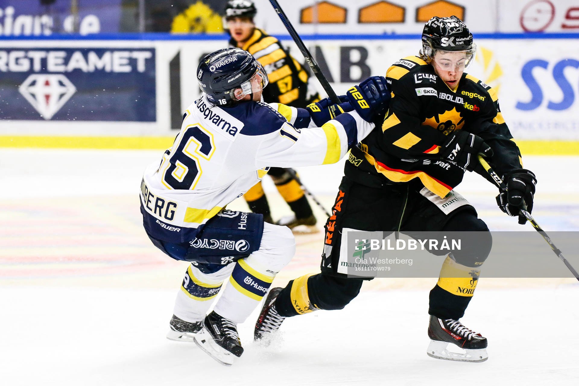 Skellefteås Tim Söderlund