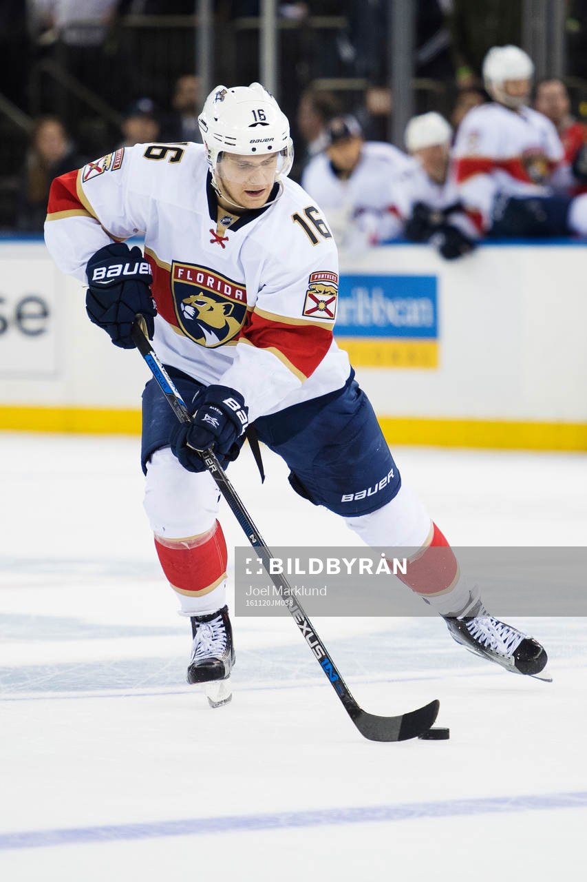 Floridas Aleksander Barkov