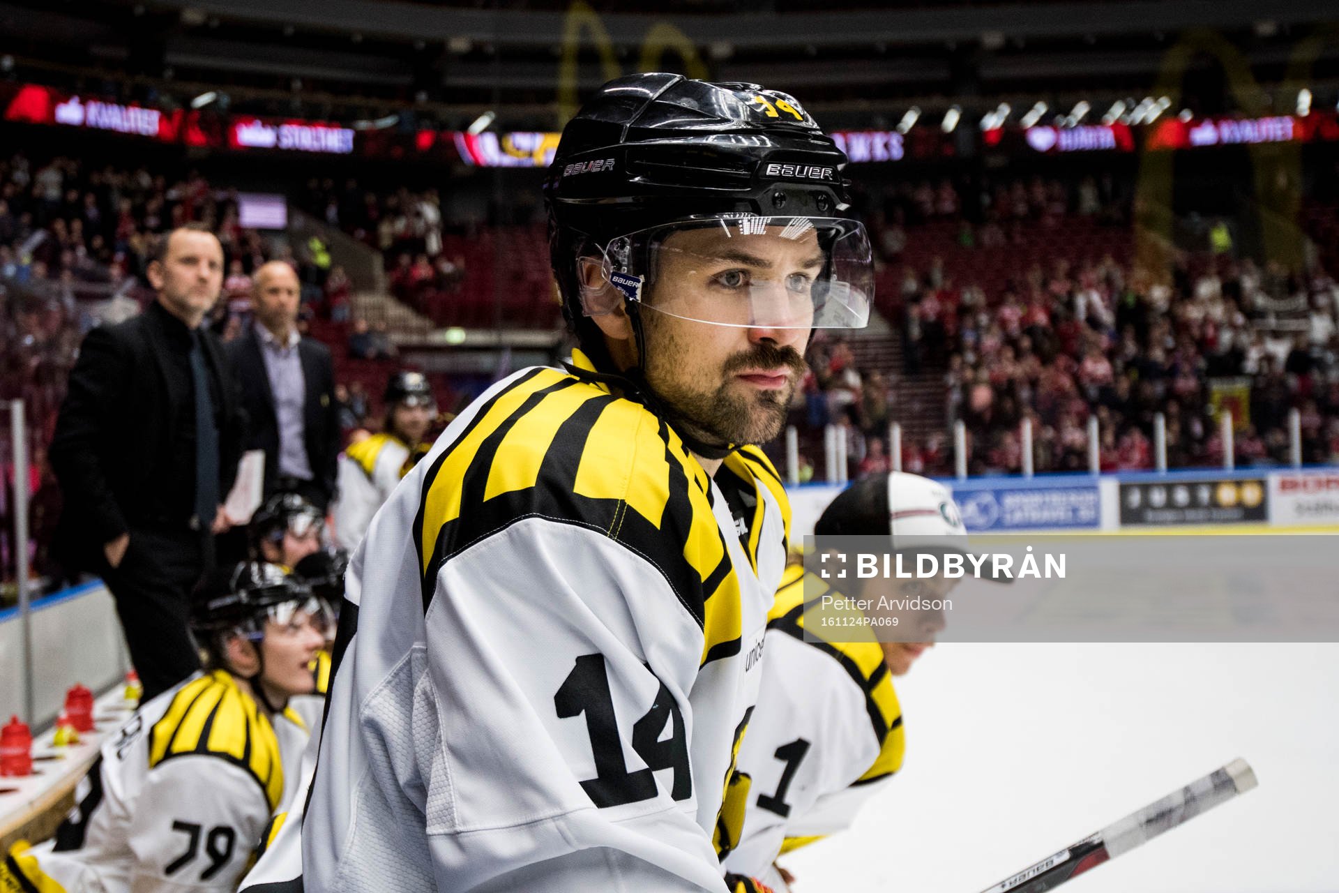 Brynäs Johan Alcén