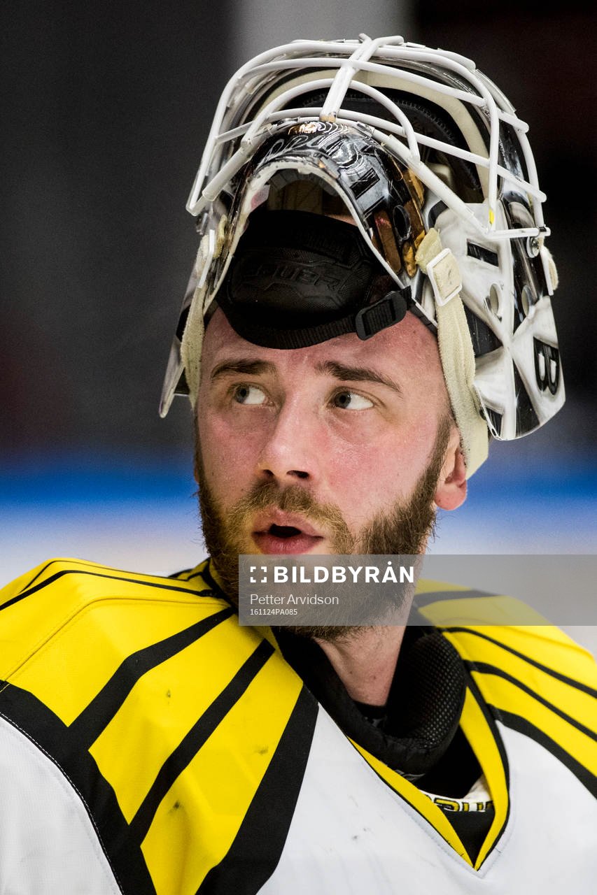 Brynäs målvakt David Rautio