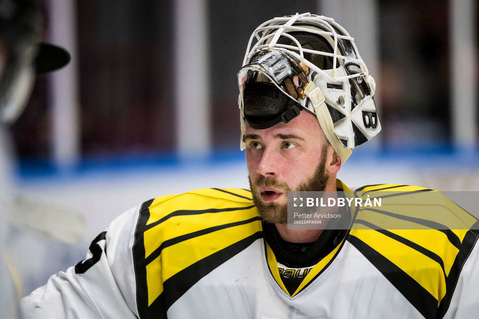 Brynäs målvakt David Rautio
