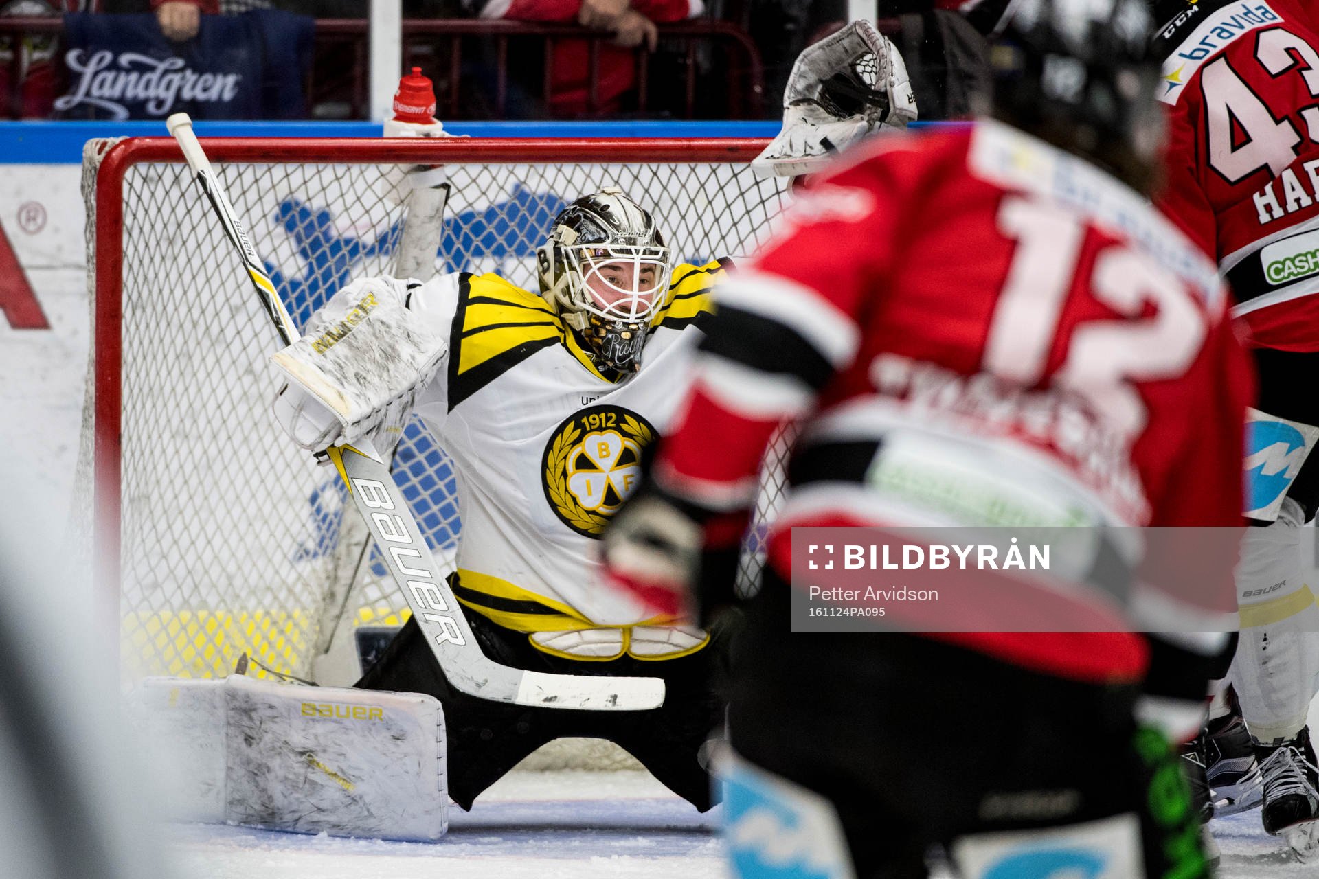 Brynäs målvakt David Rautio