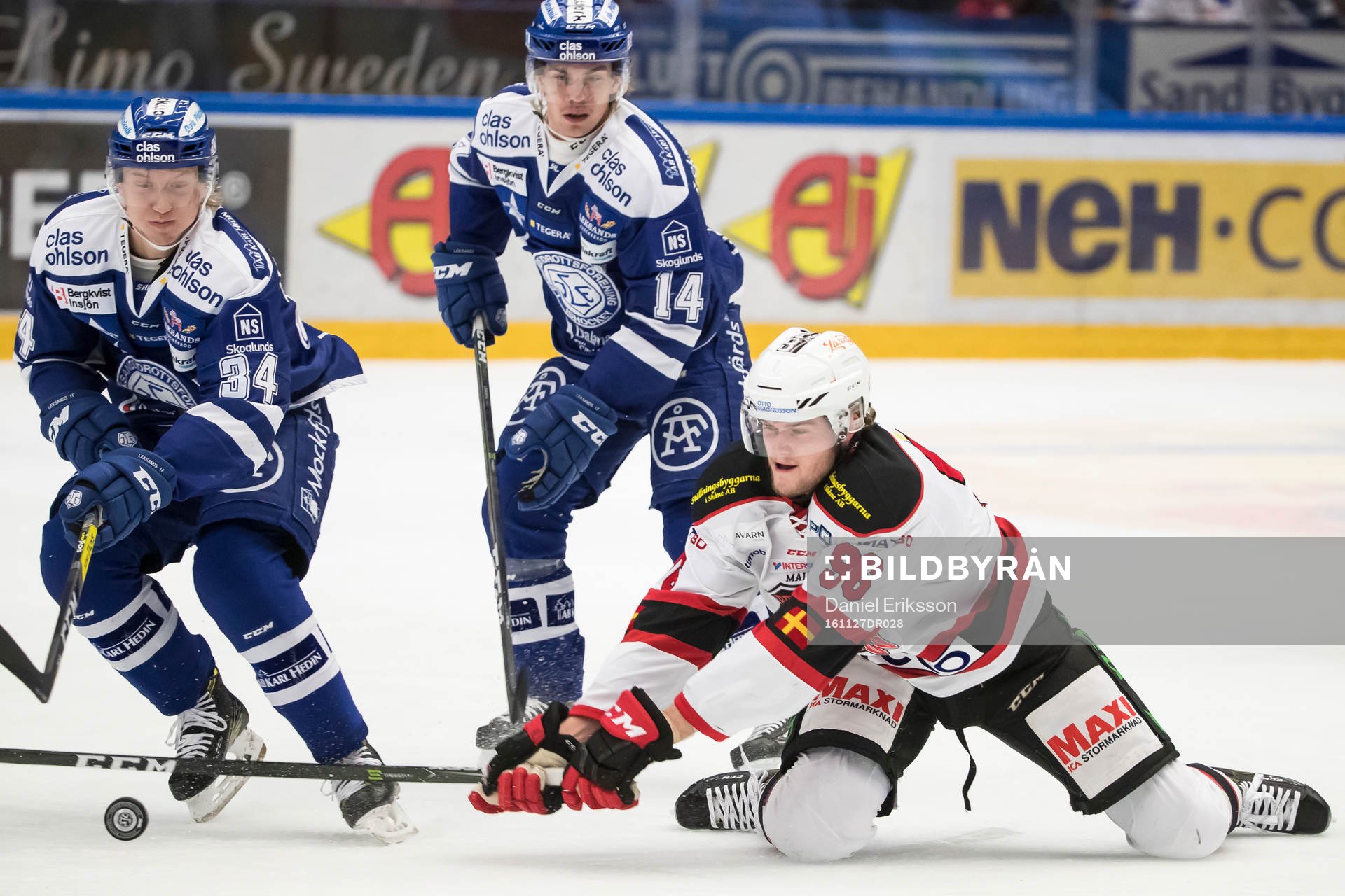 Leksands Olle Alsing, Oskar Lang och Malmö Redhawks Kim