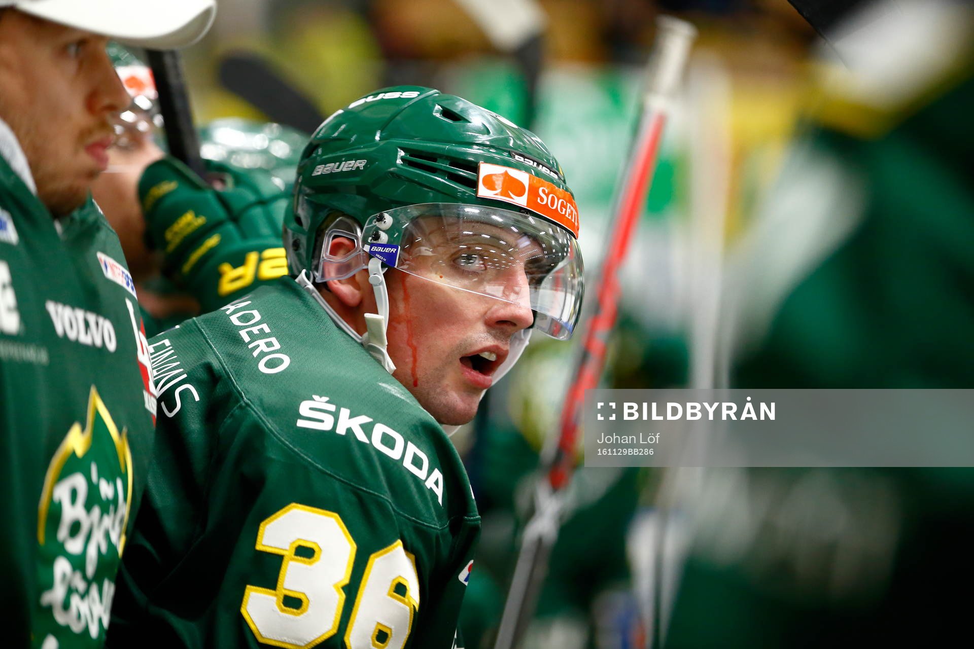 Björklövens Zach Hamill