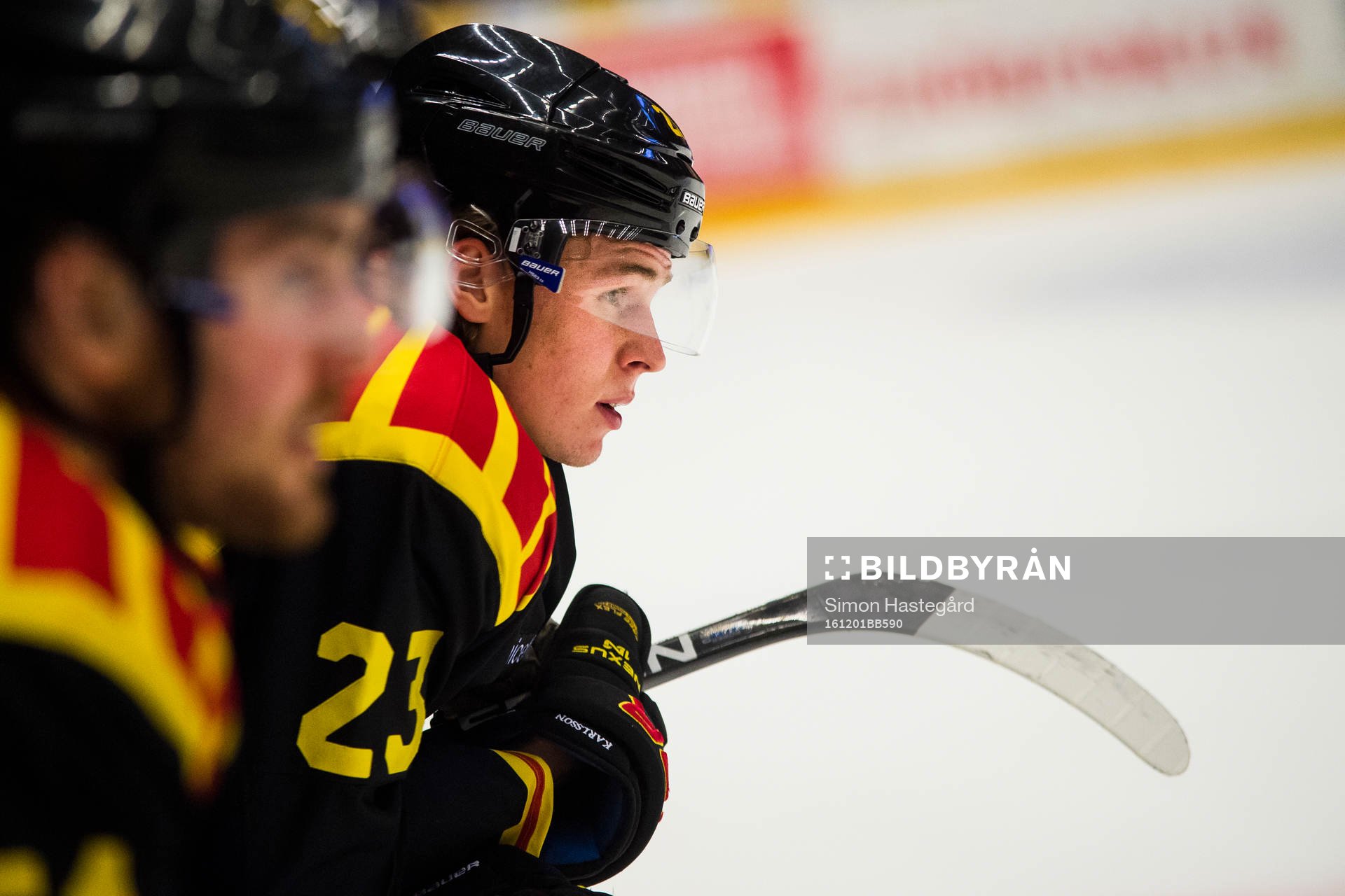 Brynäs Lucas Carlsson