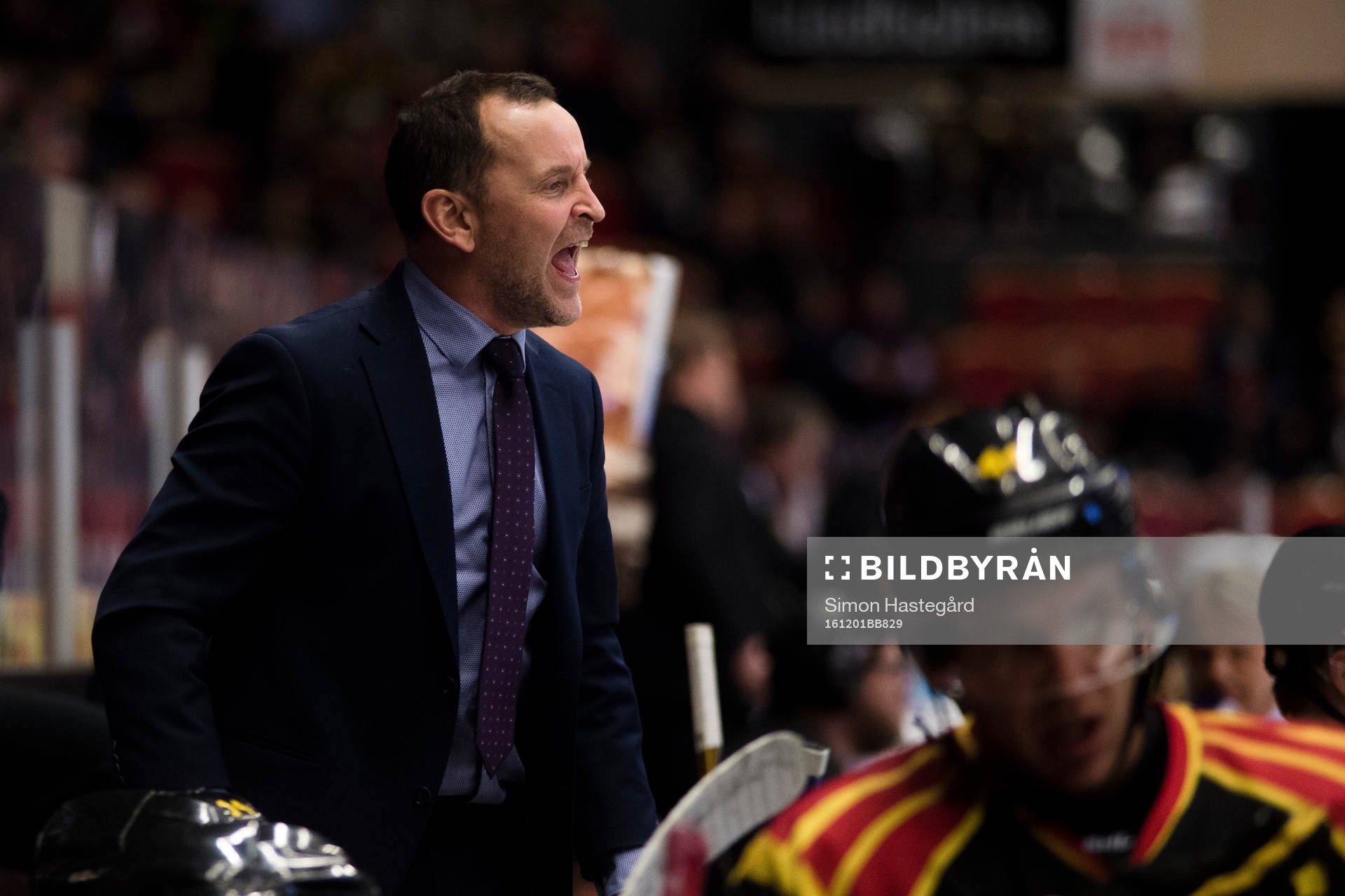 Brynäs tränare Thomas Berglund