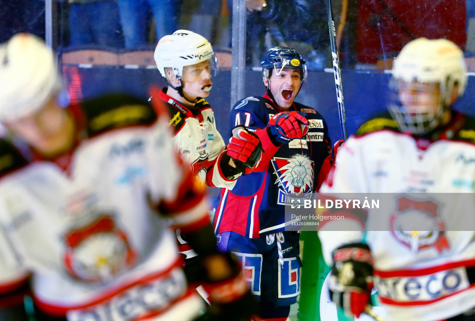 Linköpings Broc Little jublar  och Malmö Redhawks spelare