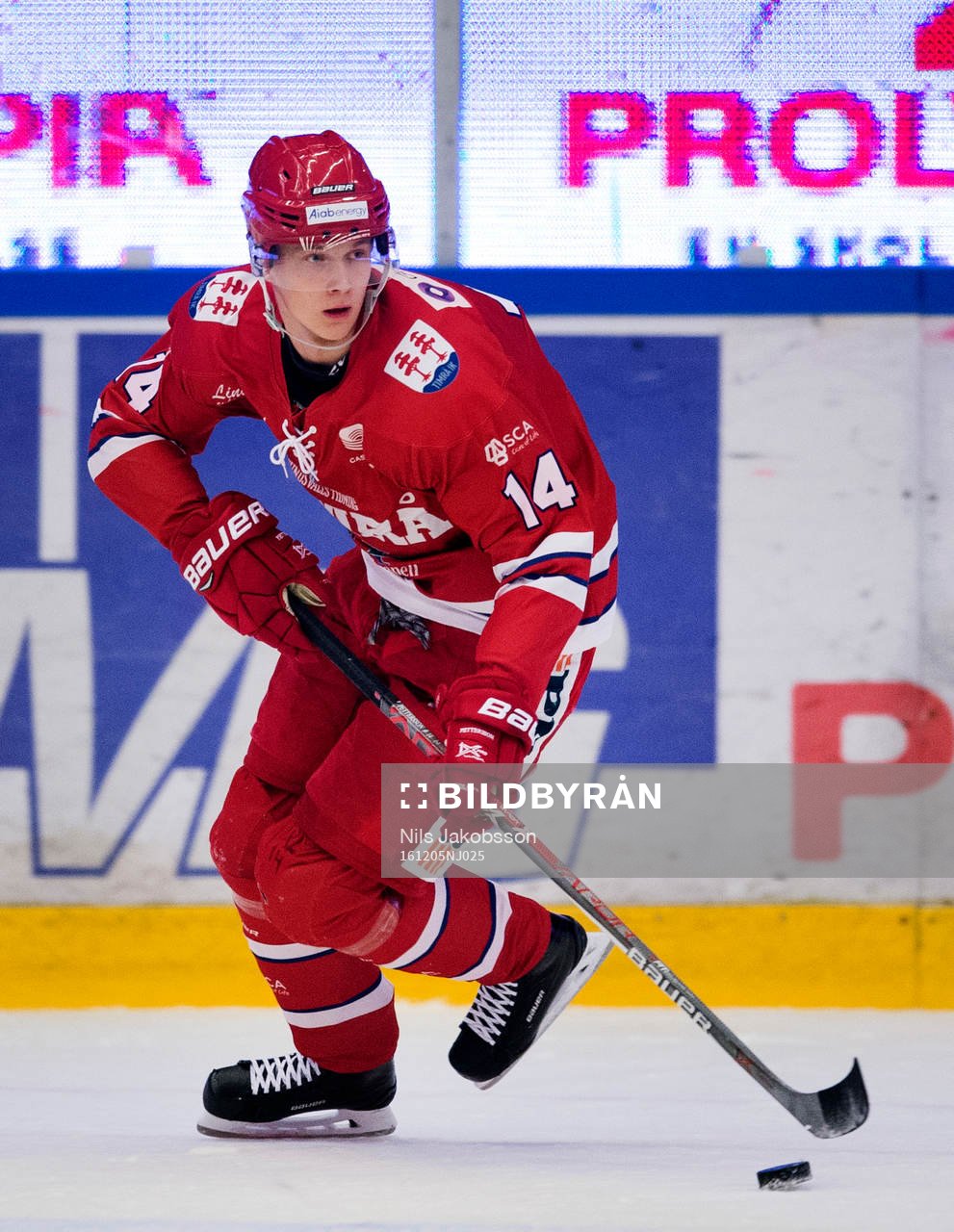 Timrås Elias Pettersson