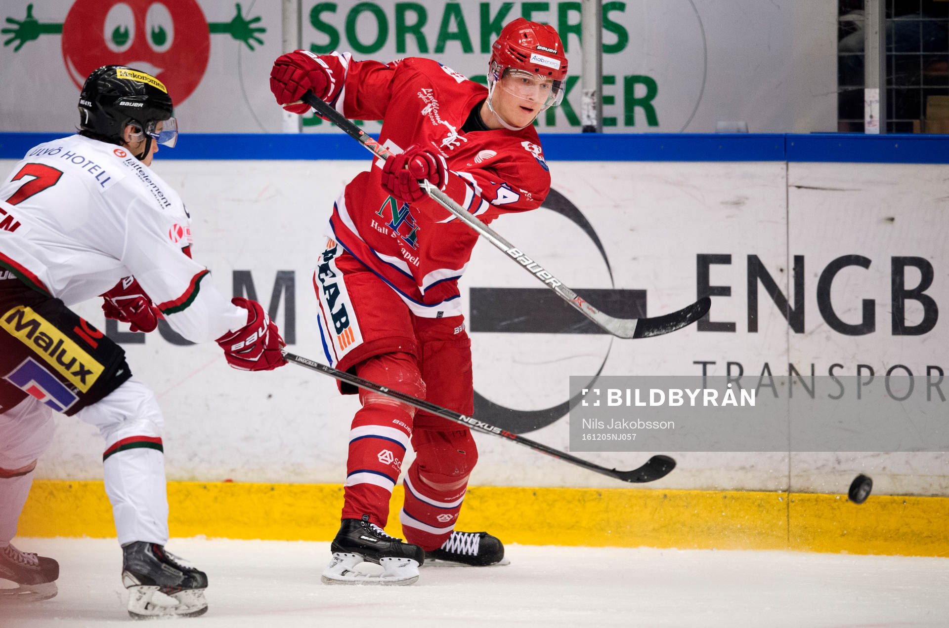 Timrås Elias Pettersson