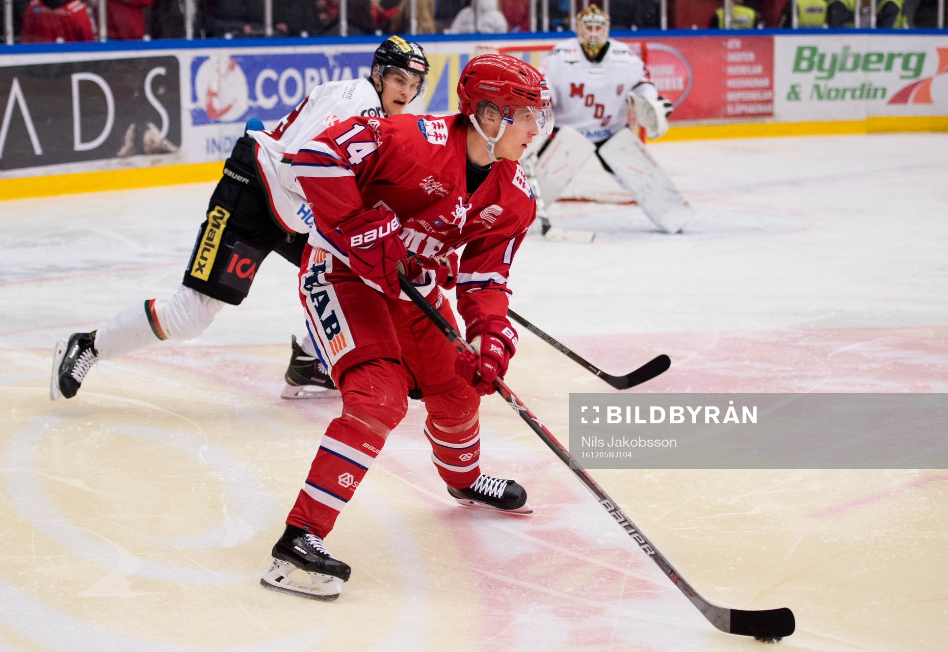 Timrås Elias Pettersson