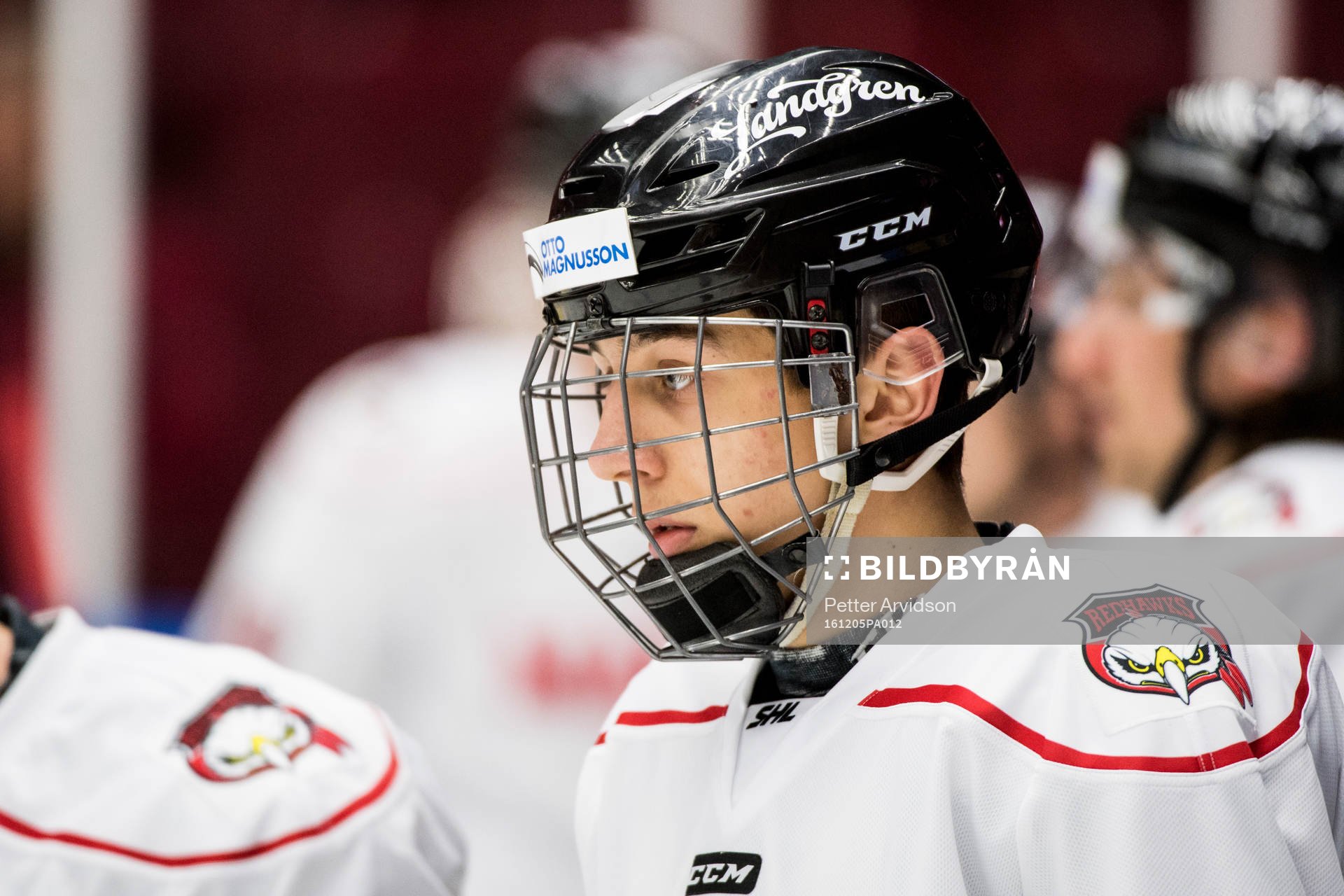 Malmö Redhawks Martin Fehevary