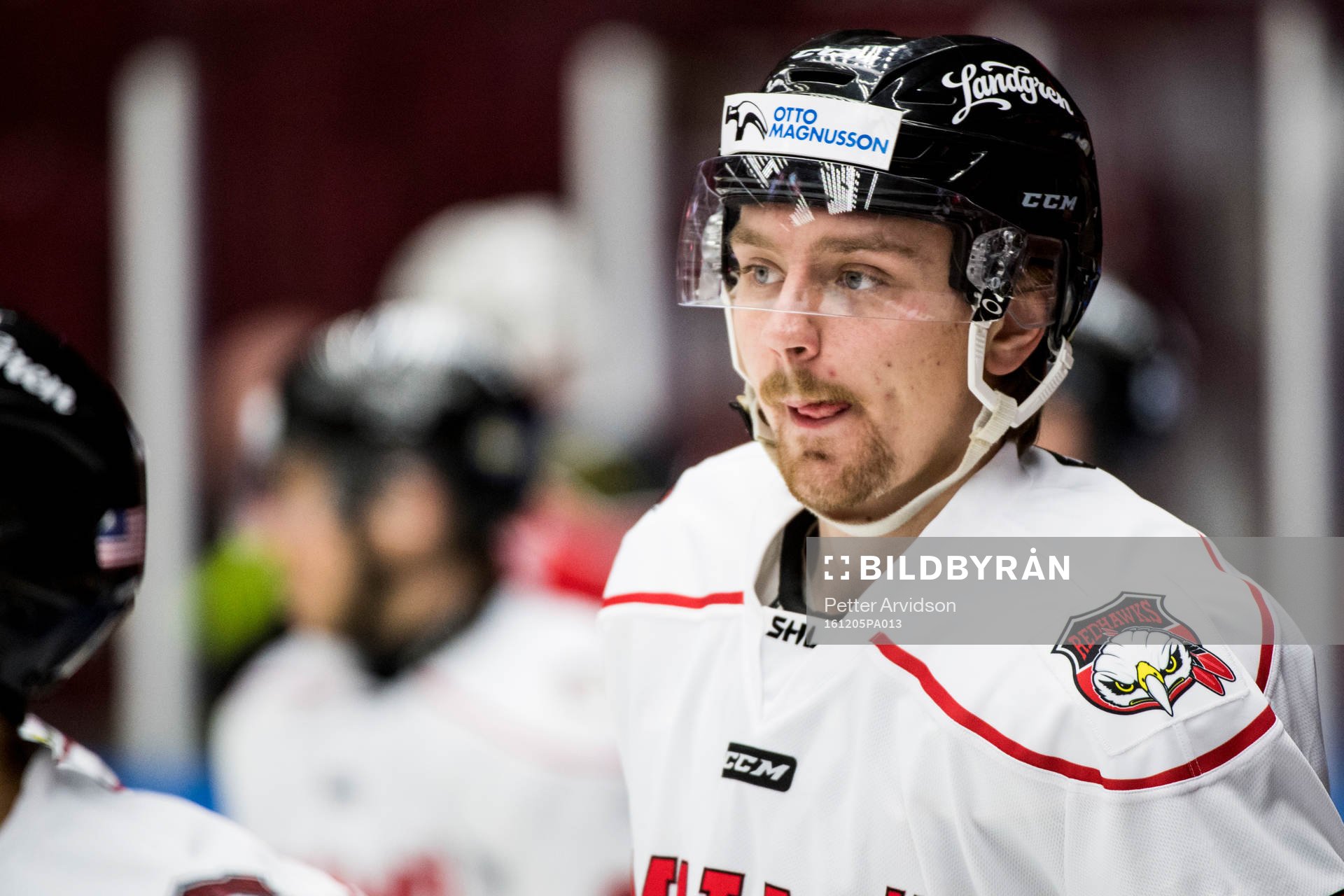 Malmö Redhawks Mattias Elfström