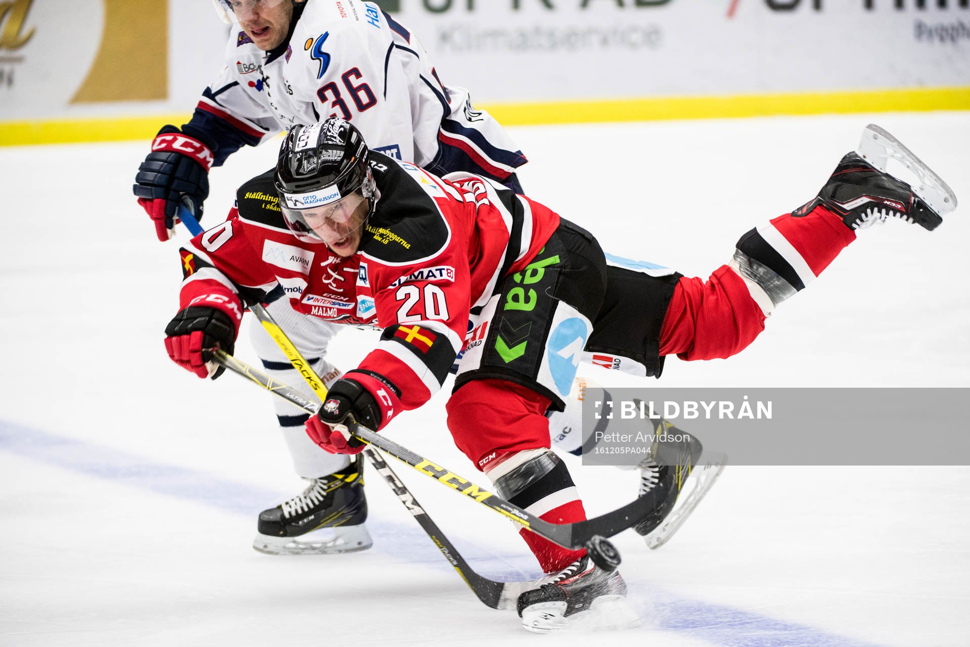 Malmö Redhawks Erik Forssell faller