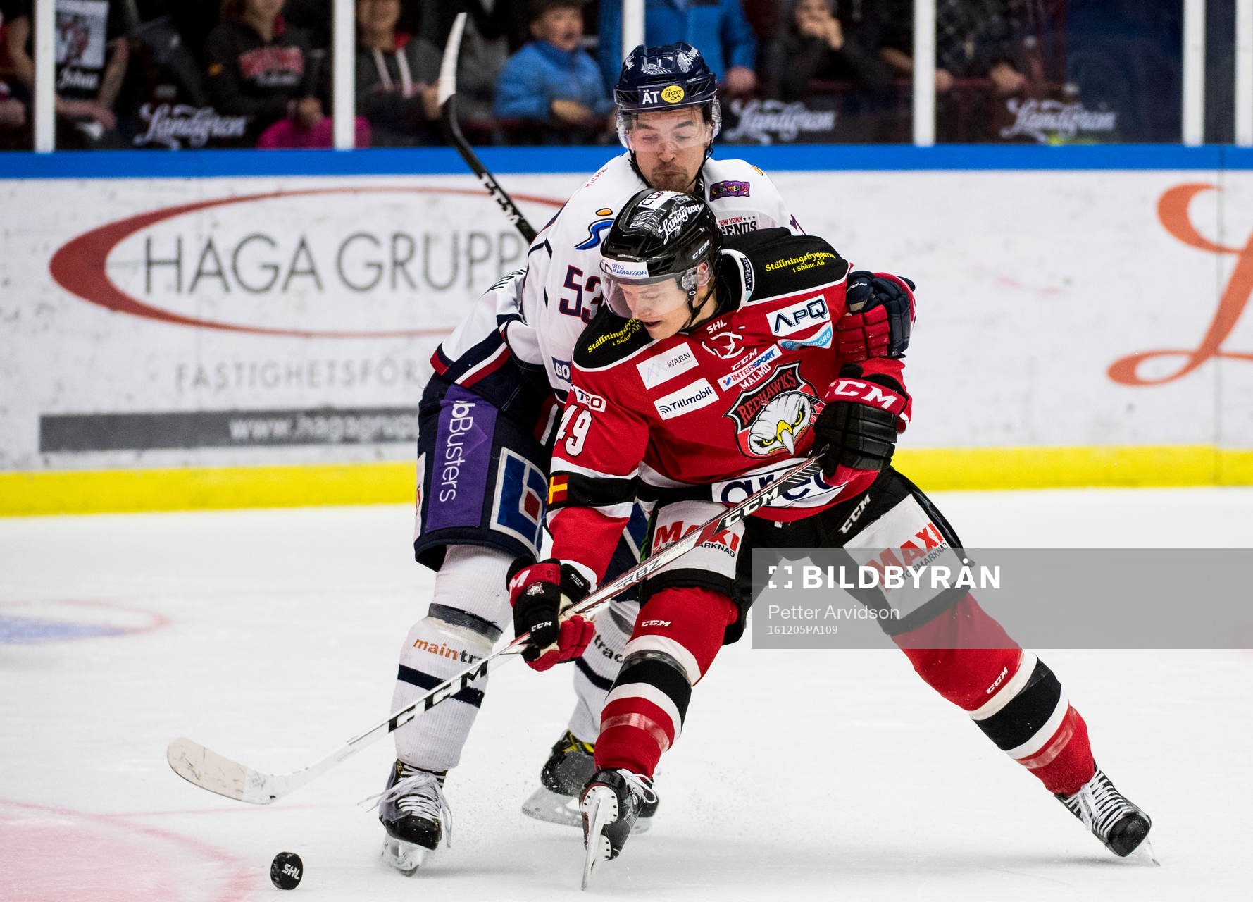 Malmö Redhawks Rhett Rakhshani