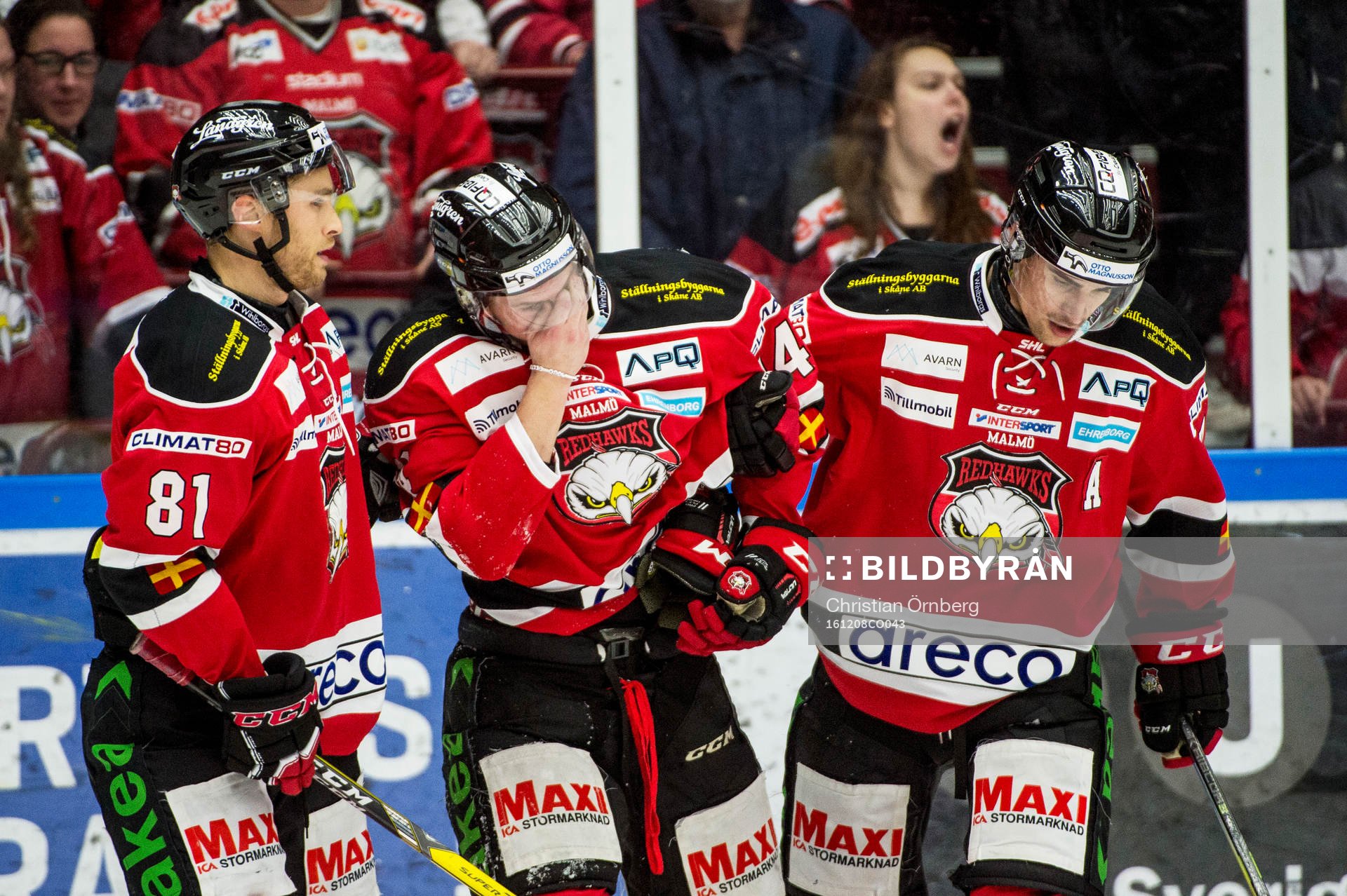 Malmö Redhawks Carl-Johan Lerby tas om hand av Ilari