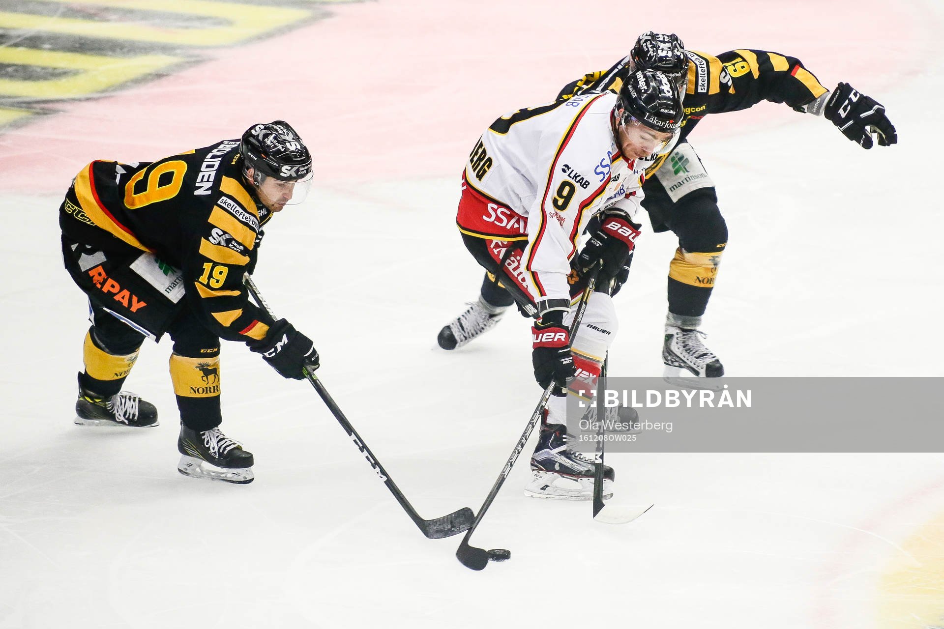Skellefteås Andrew Calof och Fredrik Lindgren