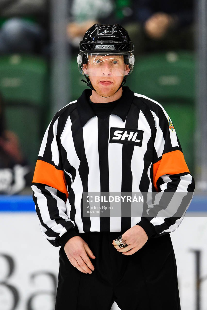 Domare Mikael Holm