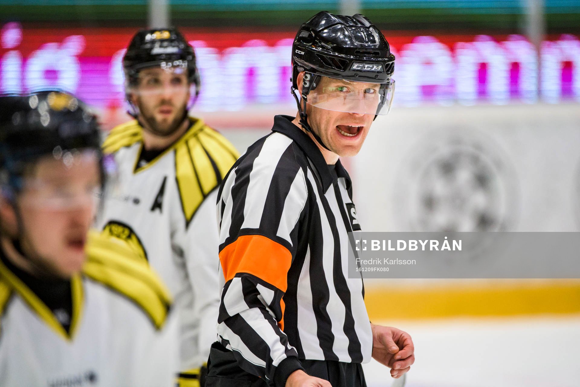 Domare Tobias Björk