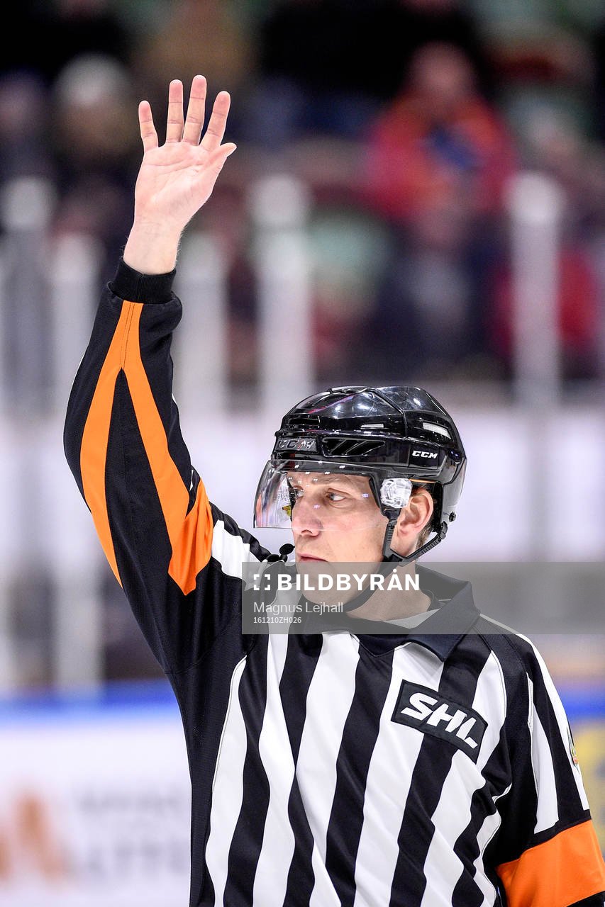 Domare Morgan Johansson