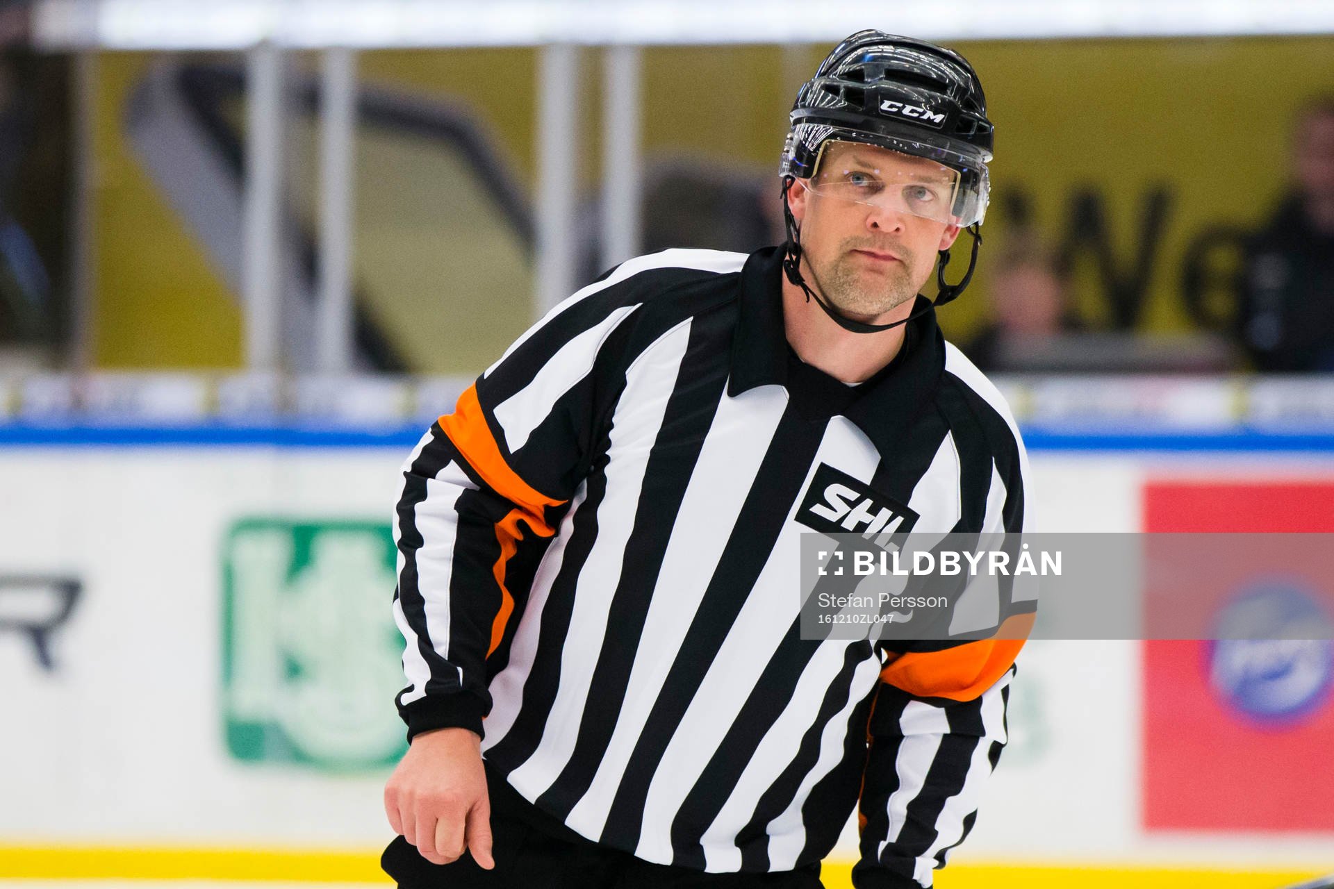 Domaren Mikael Nord