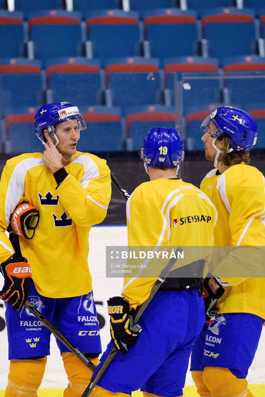 Sveriges Alexander Bergström, Patrik Zackrisson och