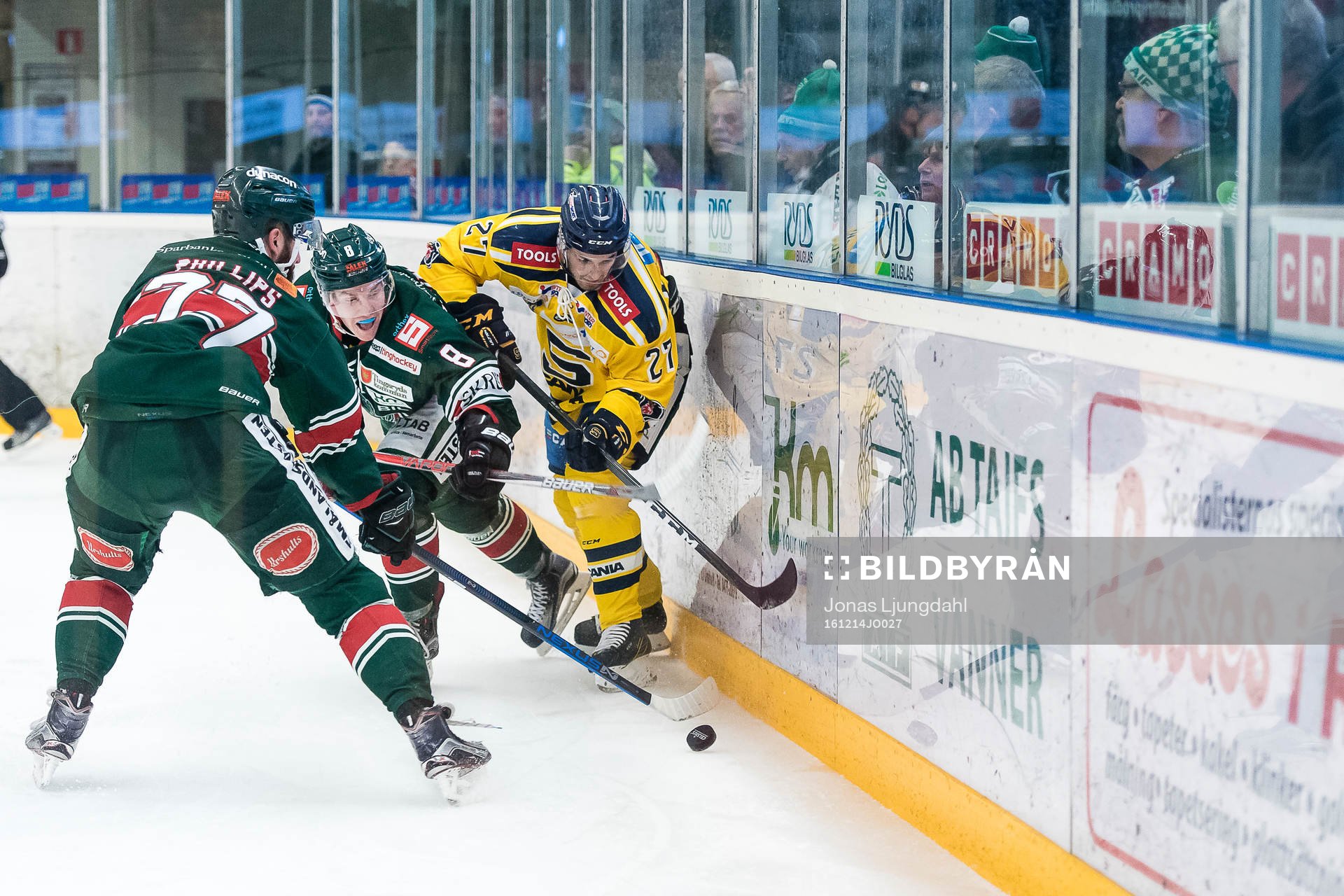 Södertäljes Felix Maegaard-Scheel