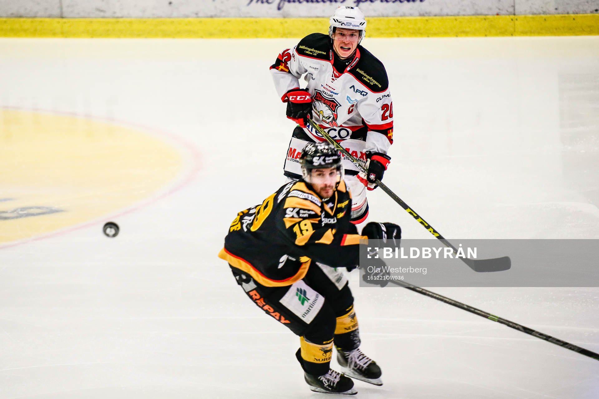 Skellefteås Andrew Calof