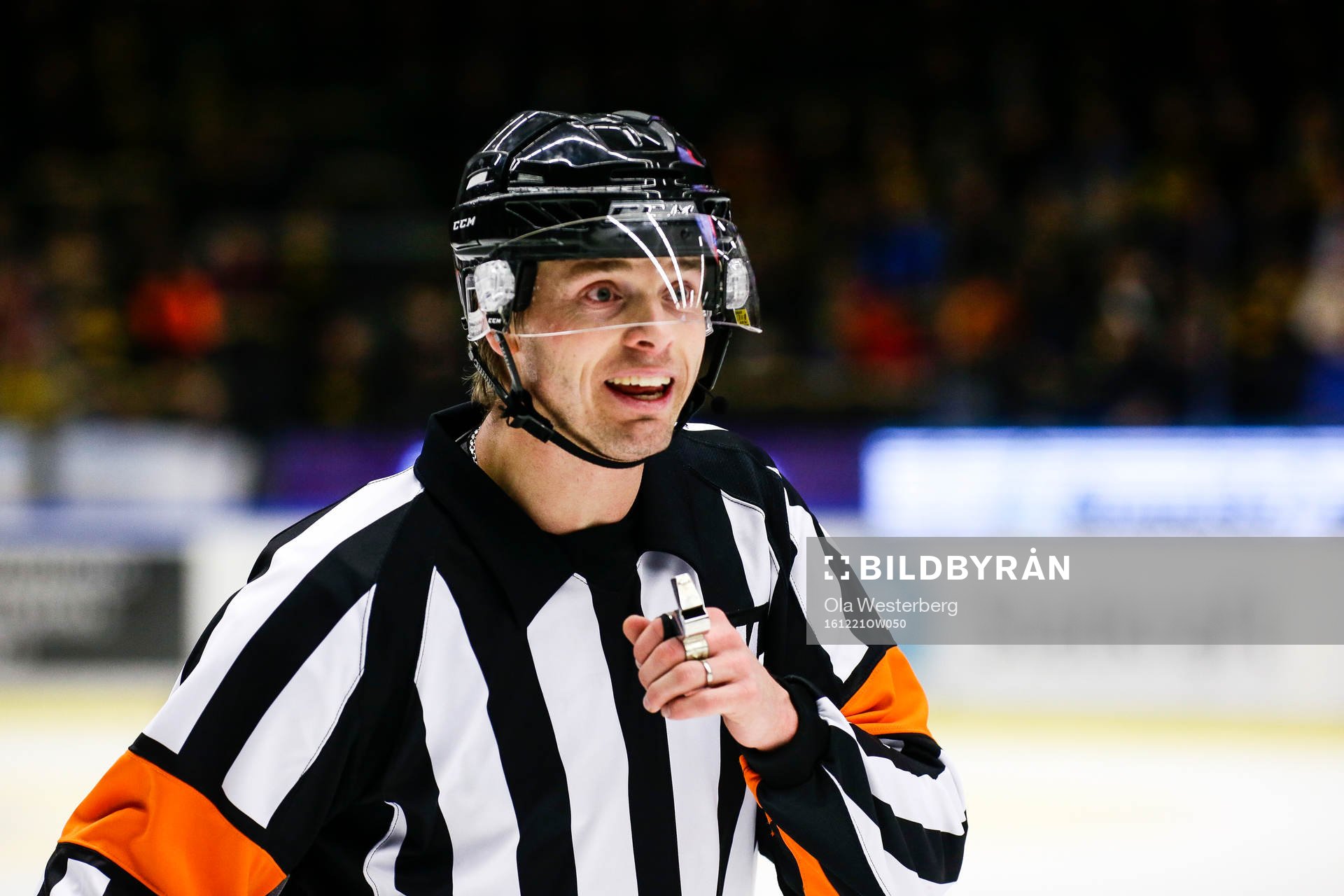 Domaren Mikael Andersson