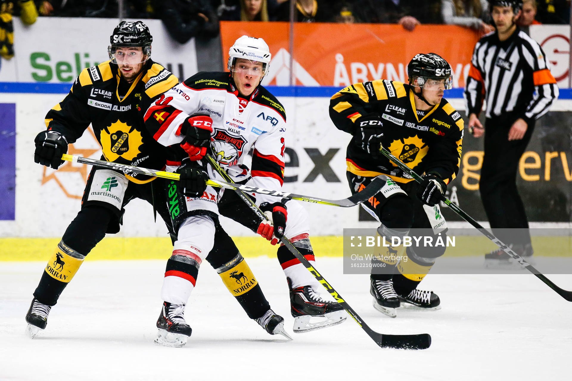 Skellefteås Marcus Pettersson