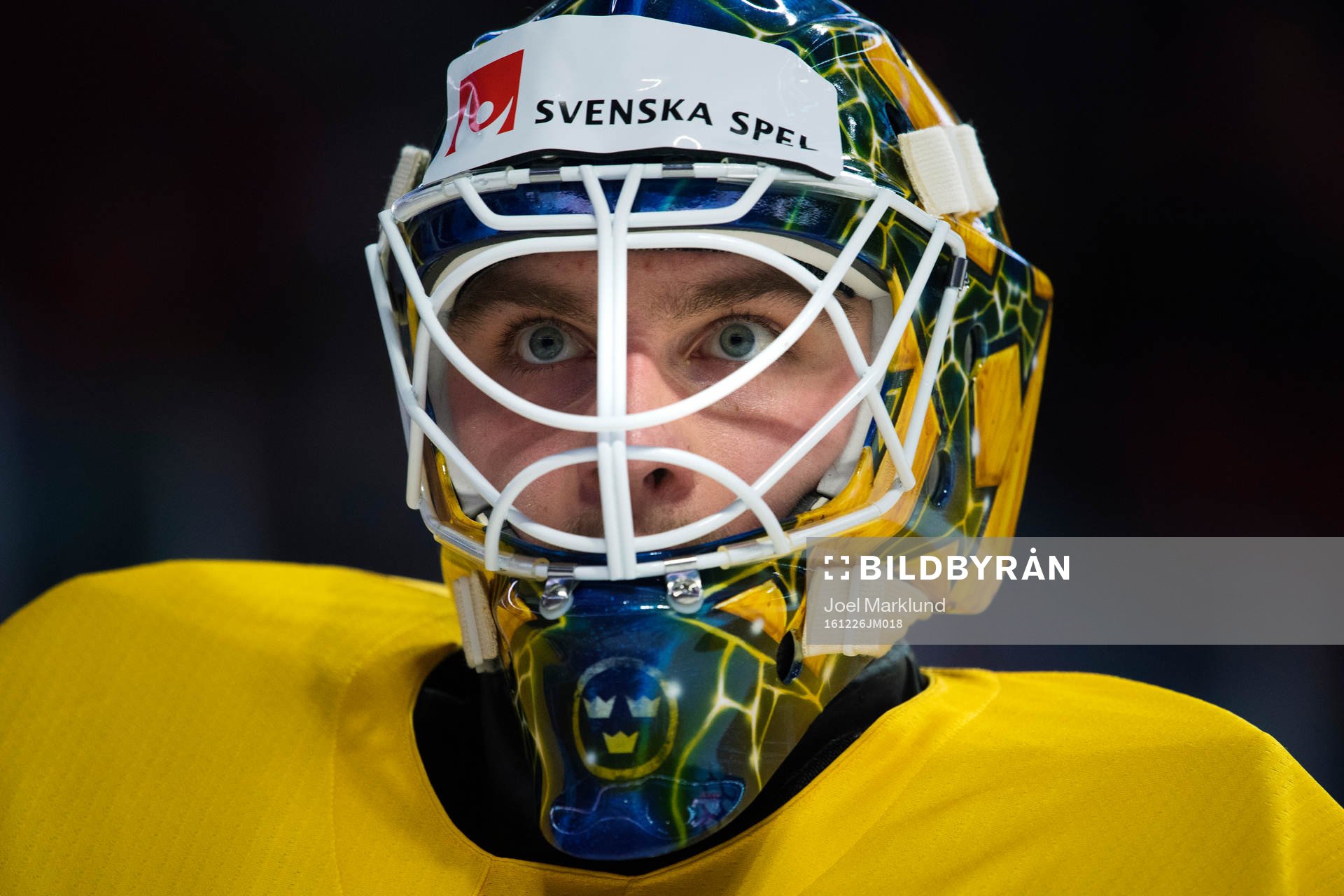 Sveriges målvakt Felix Sandström