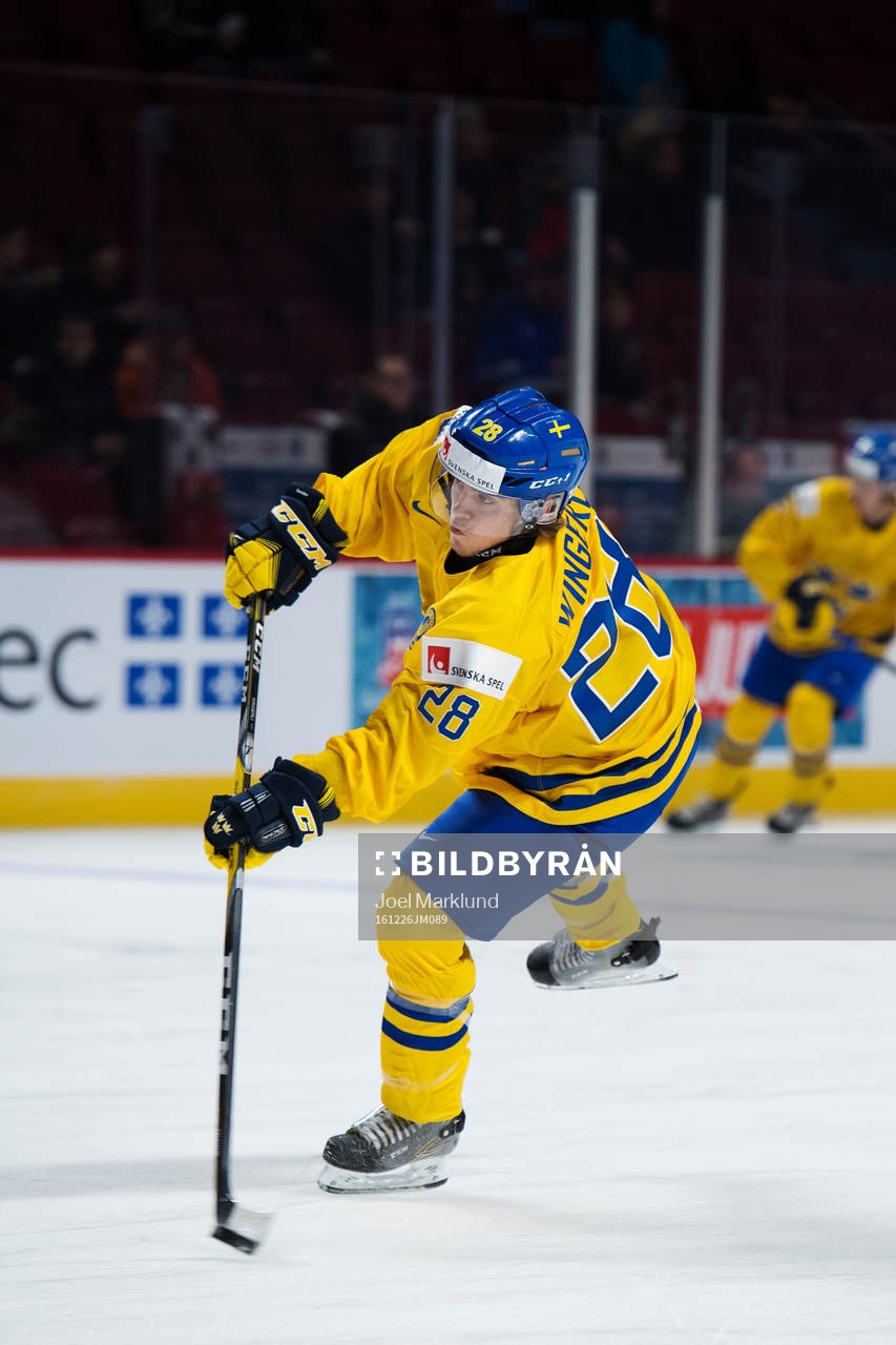 Sveriges Andreas Wingerli