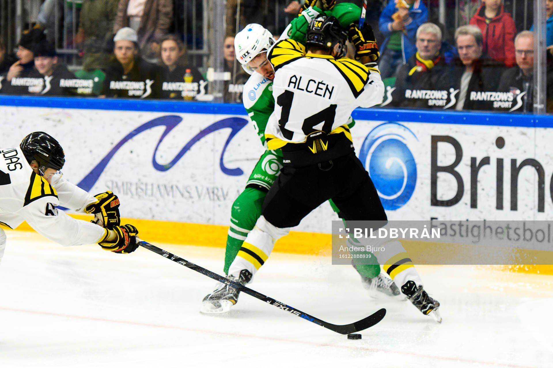 Rögles Alen Bibic