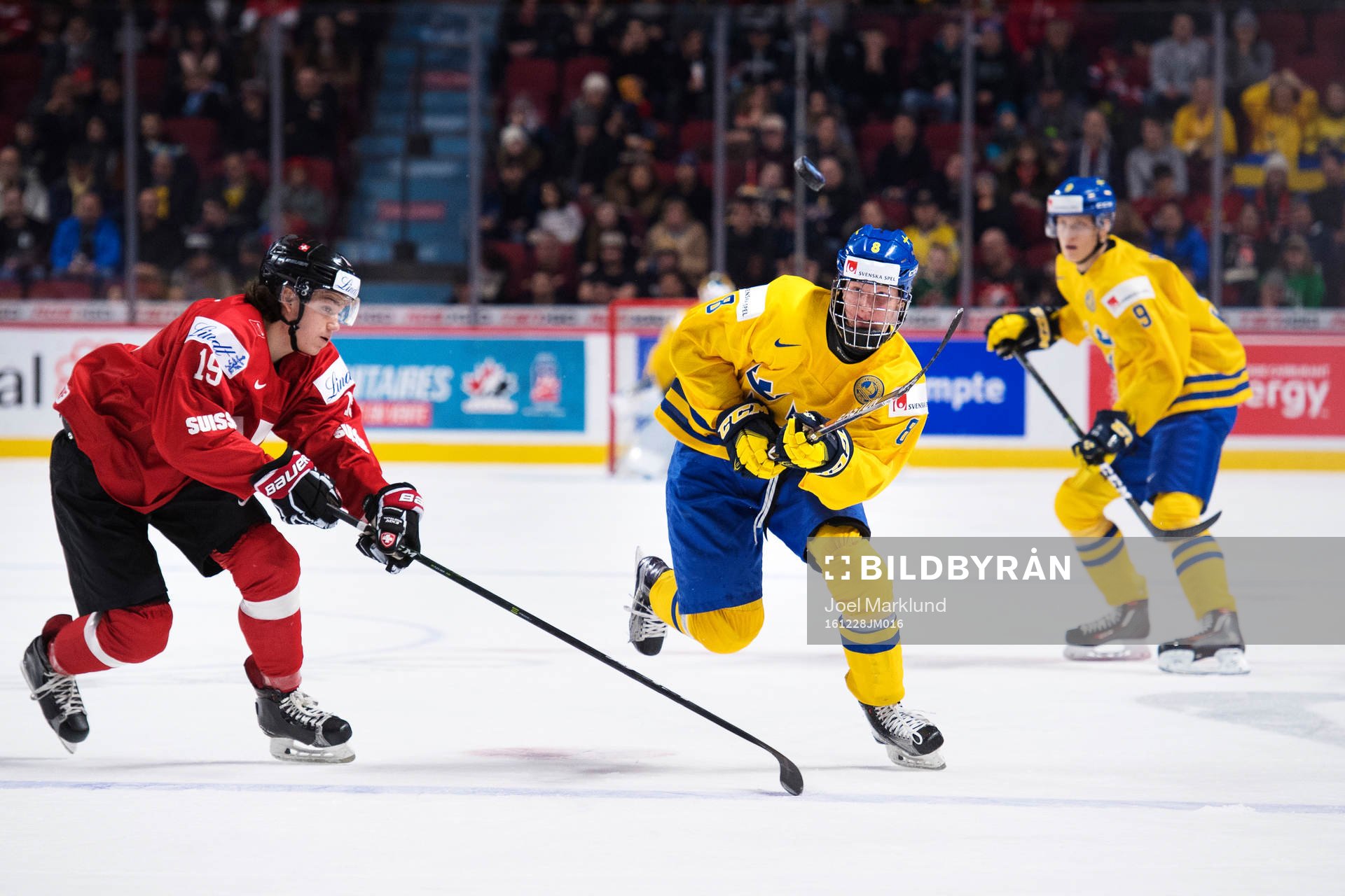 Schweiz Yannick Zehnder och Sveriges Rasmus Dahlin