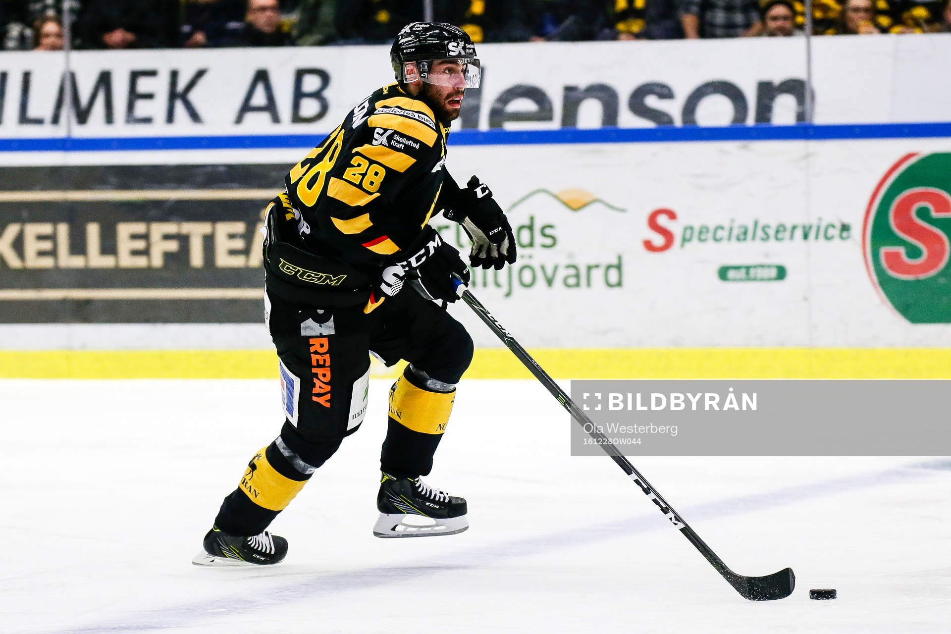 Skellefteås Johan Alm