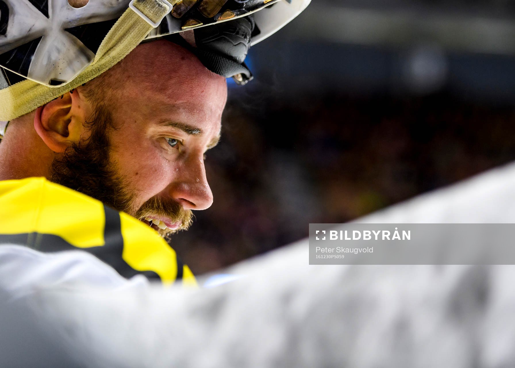 Brynäs målvakt David Rautio
