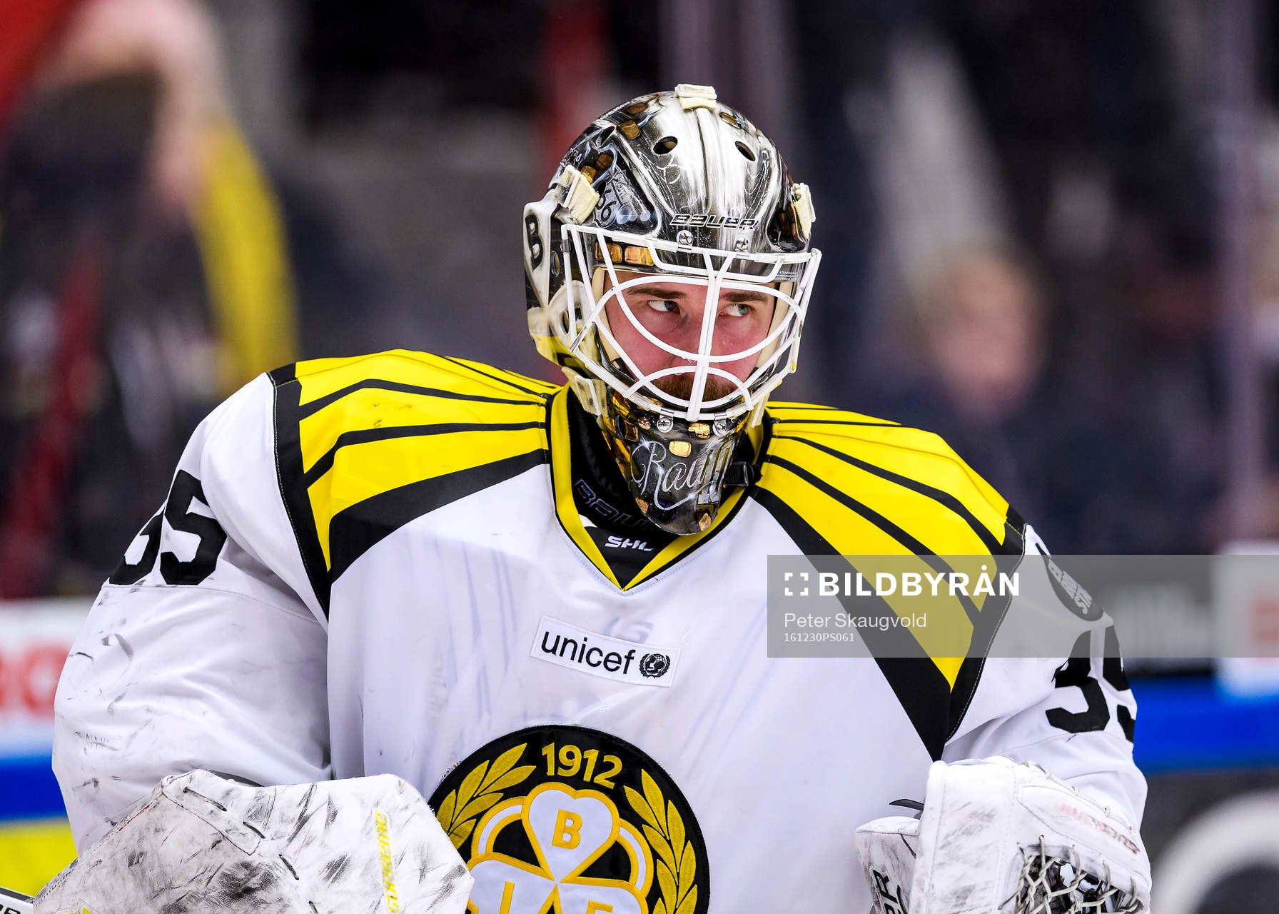 Brynäs målvakt David Rautio