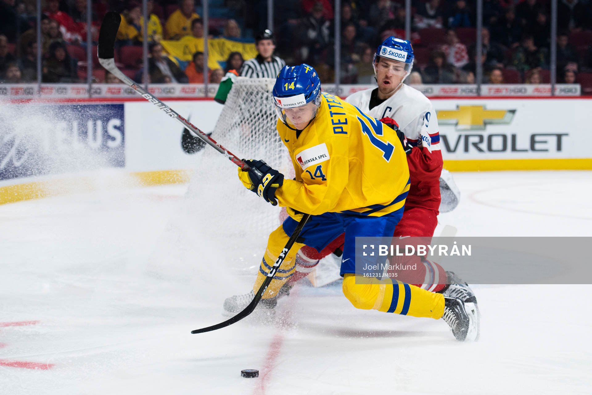 Sveriges Elias Pettersson och Tjeckiens Filip Hronek