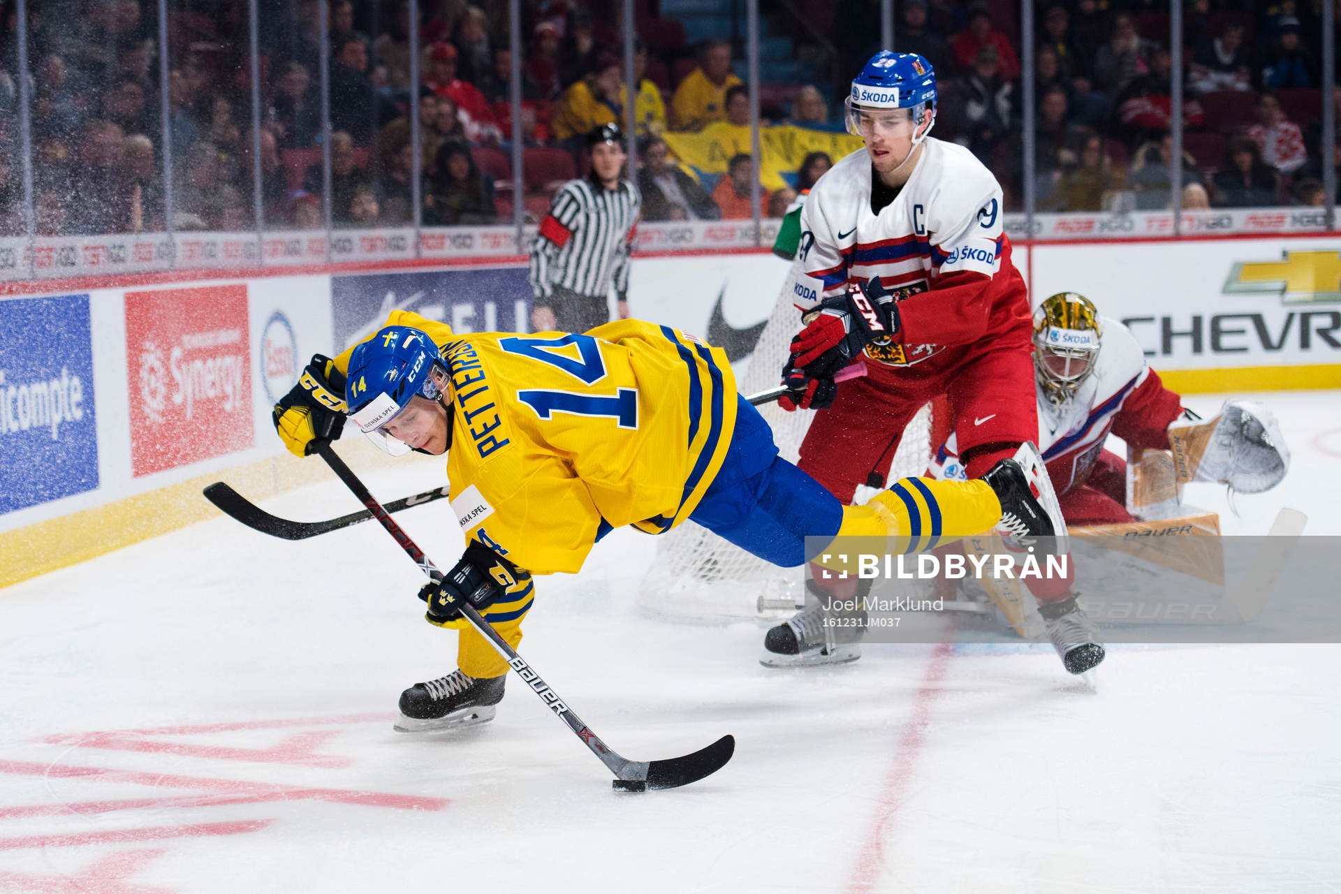 Sveriges Elias Pettersson och Tjeckiens Filip Hronek